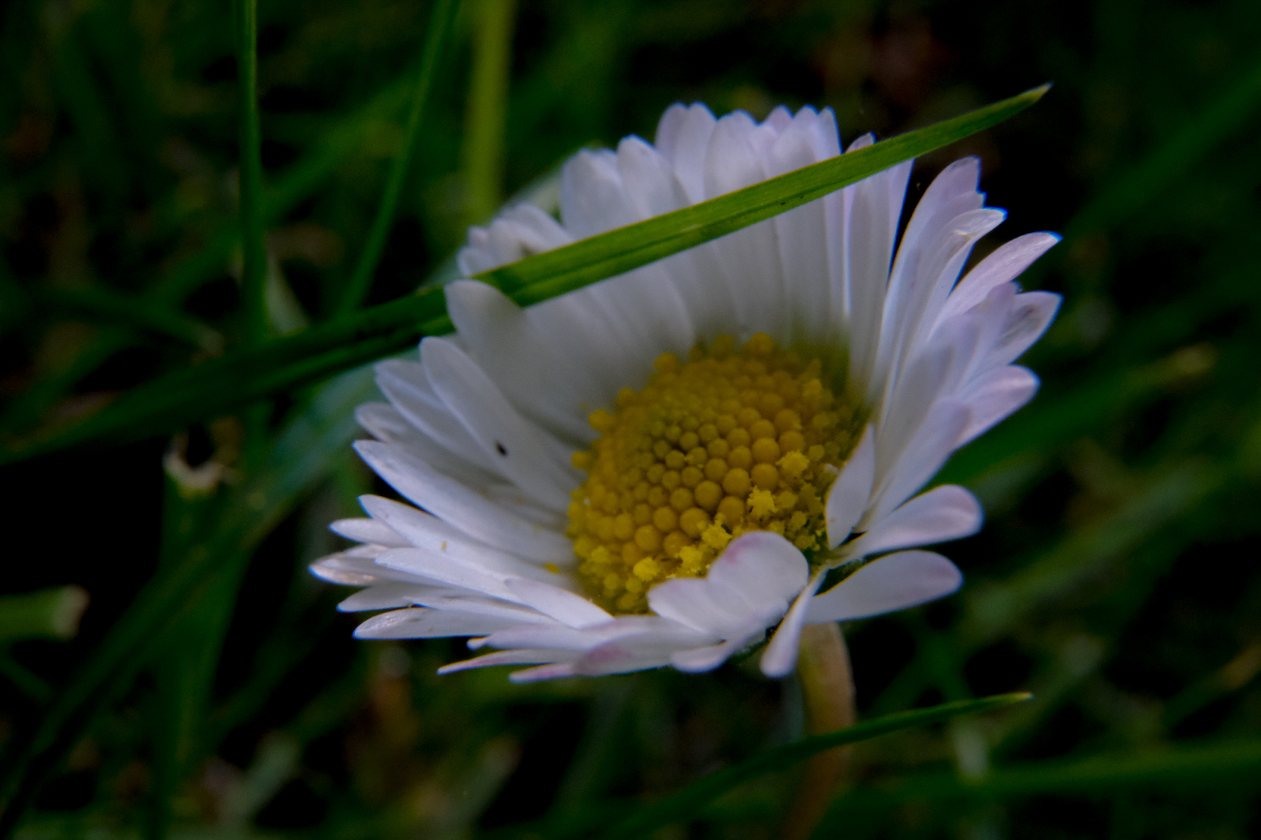 Untitled Photo