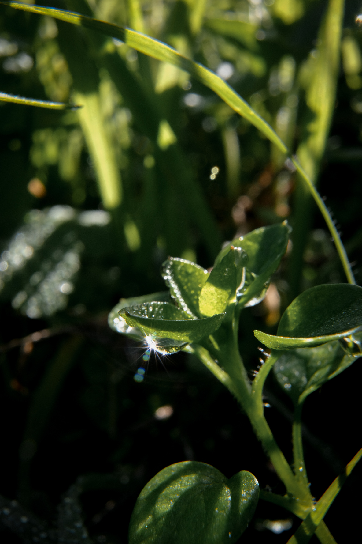 Untitled Photo