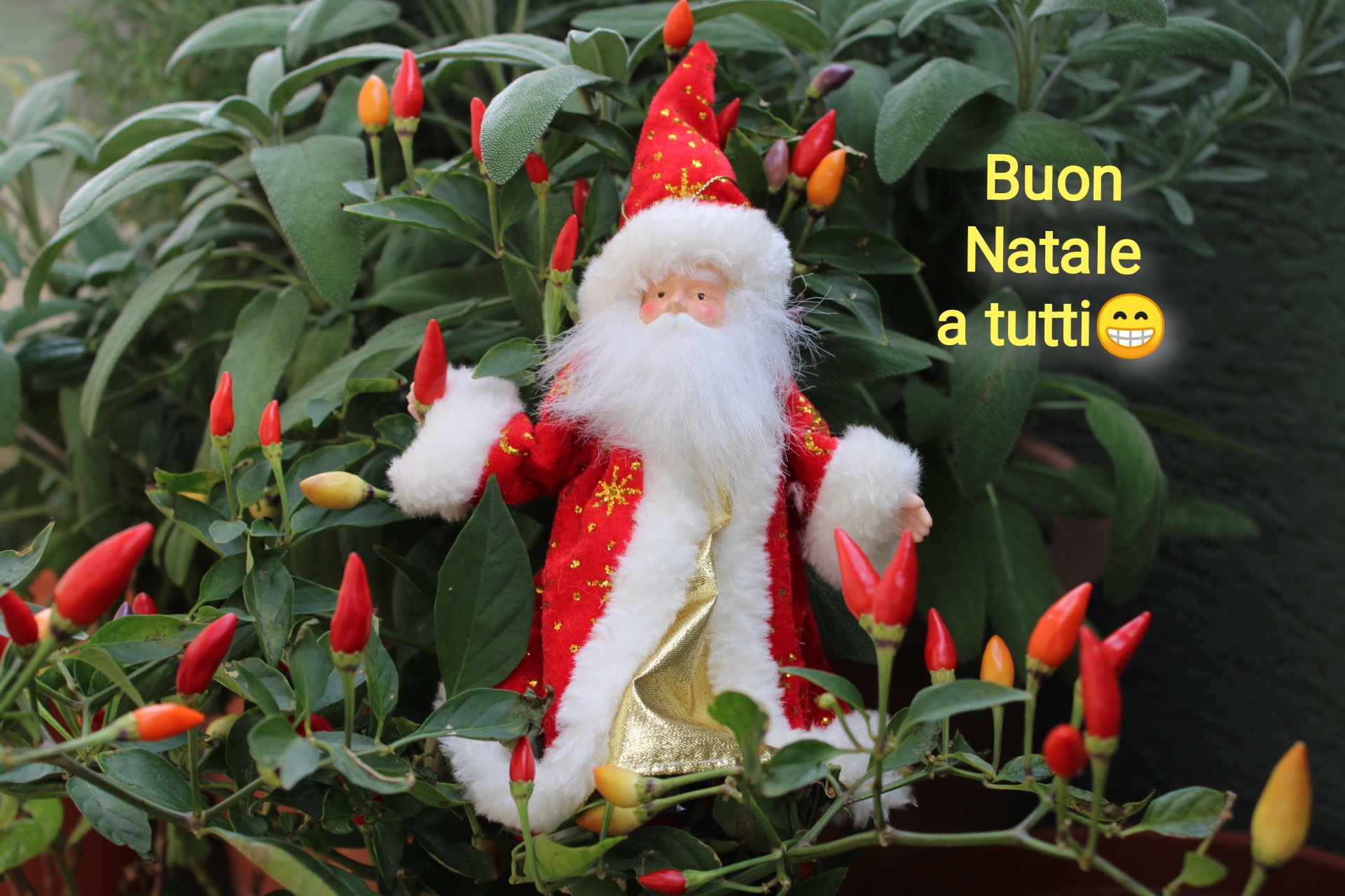 Merry Christmas to all