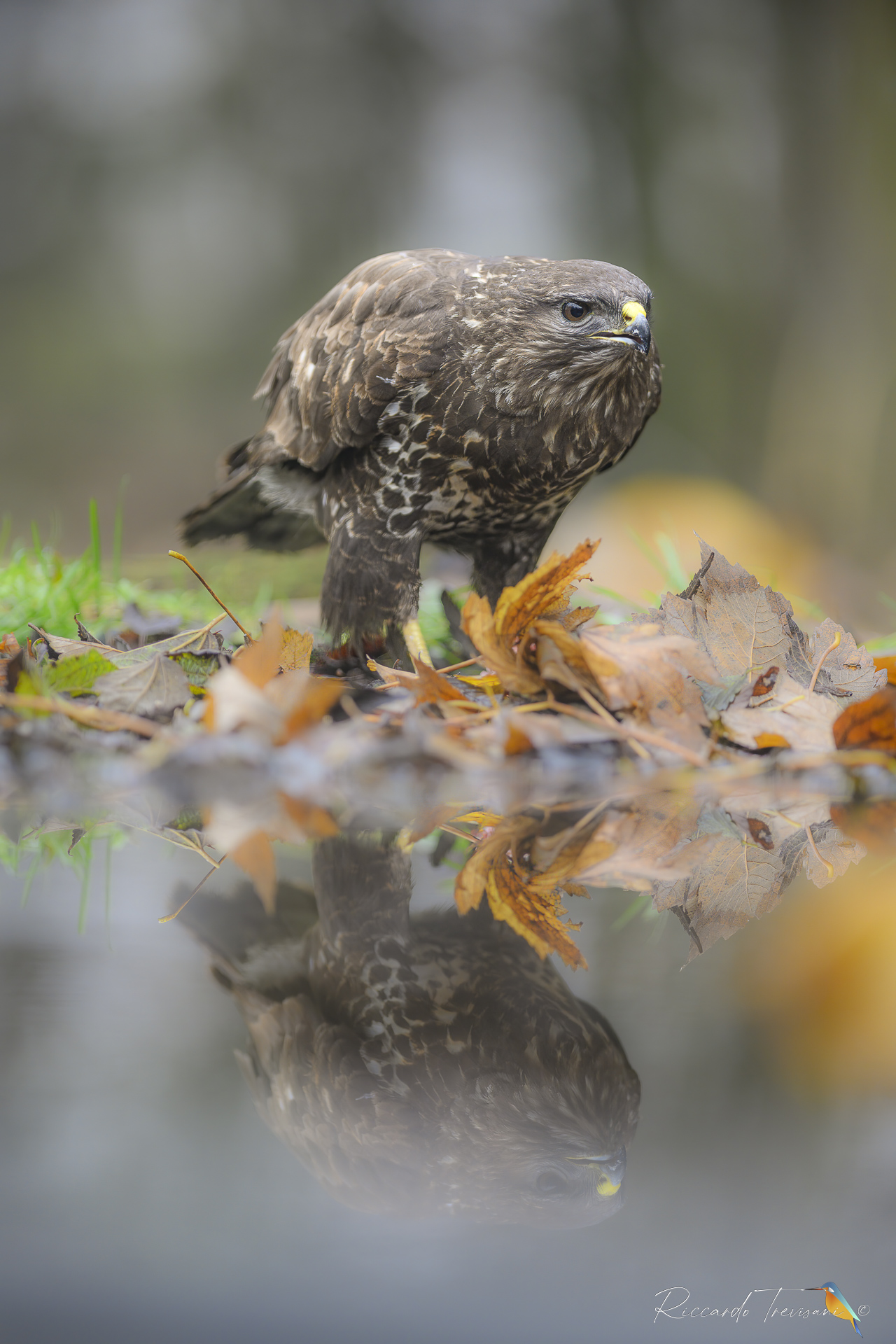 oggi ho voluto riflettere....