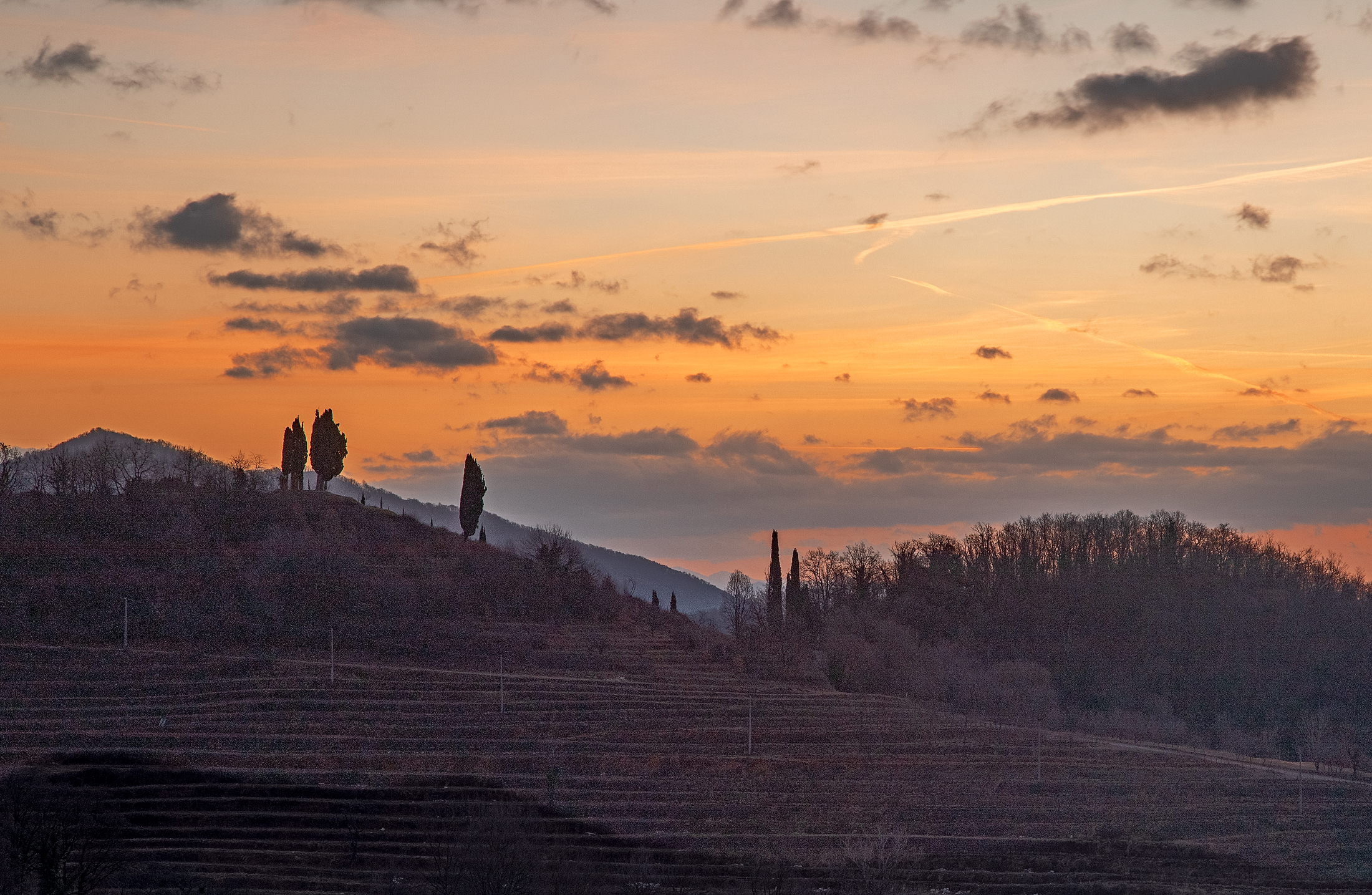 Sunrise with cypresses