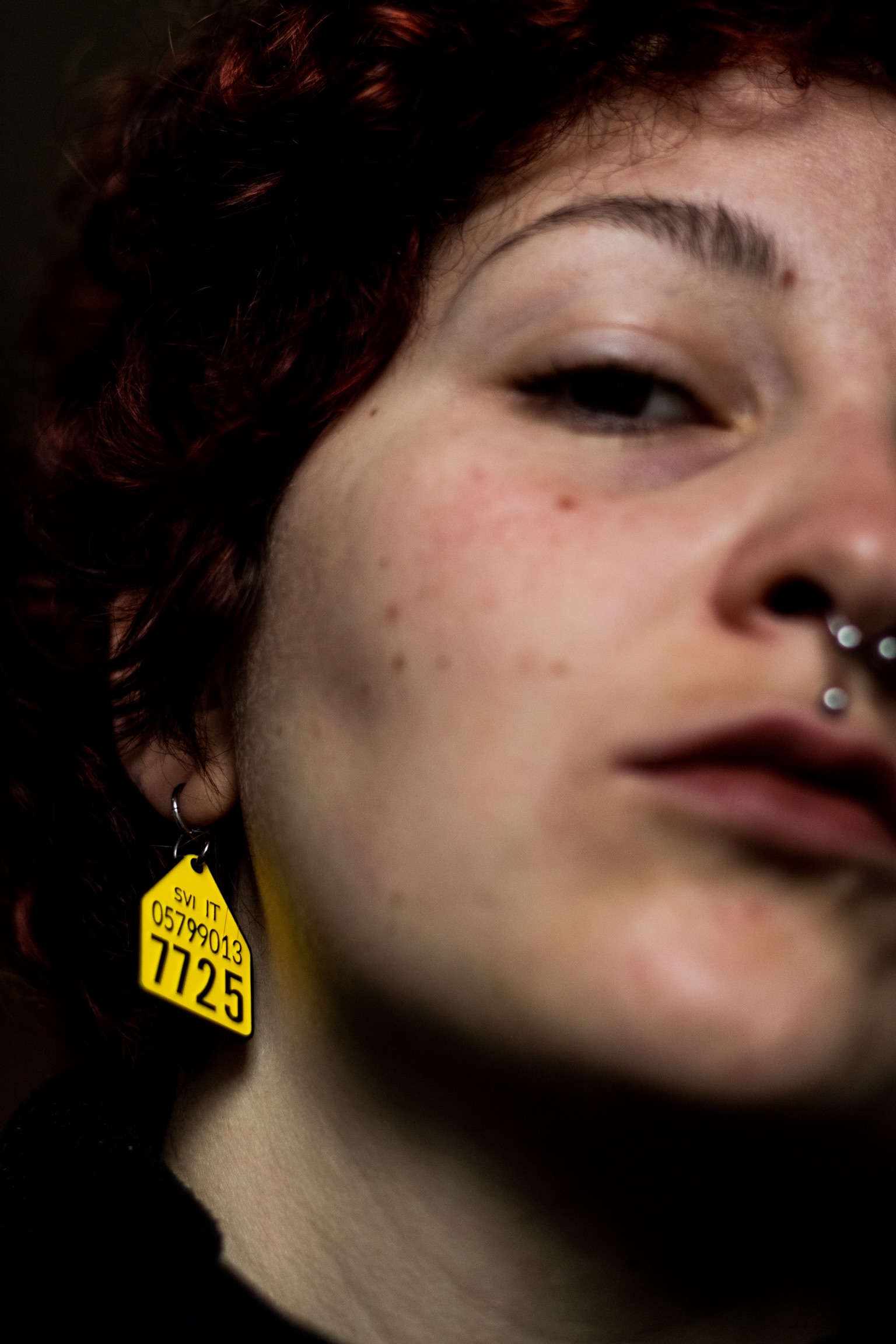 Goat Sanctuary Free All