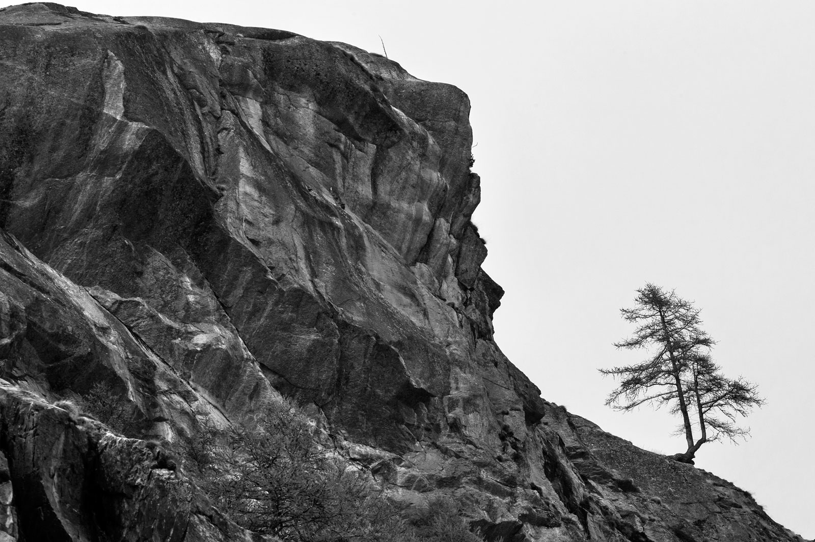 Paesaggio di montagna