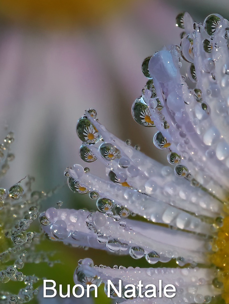 Best wishes to you all!