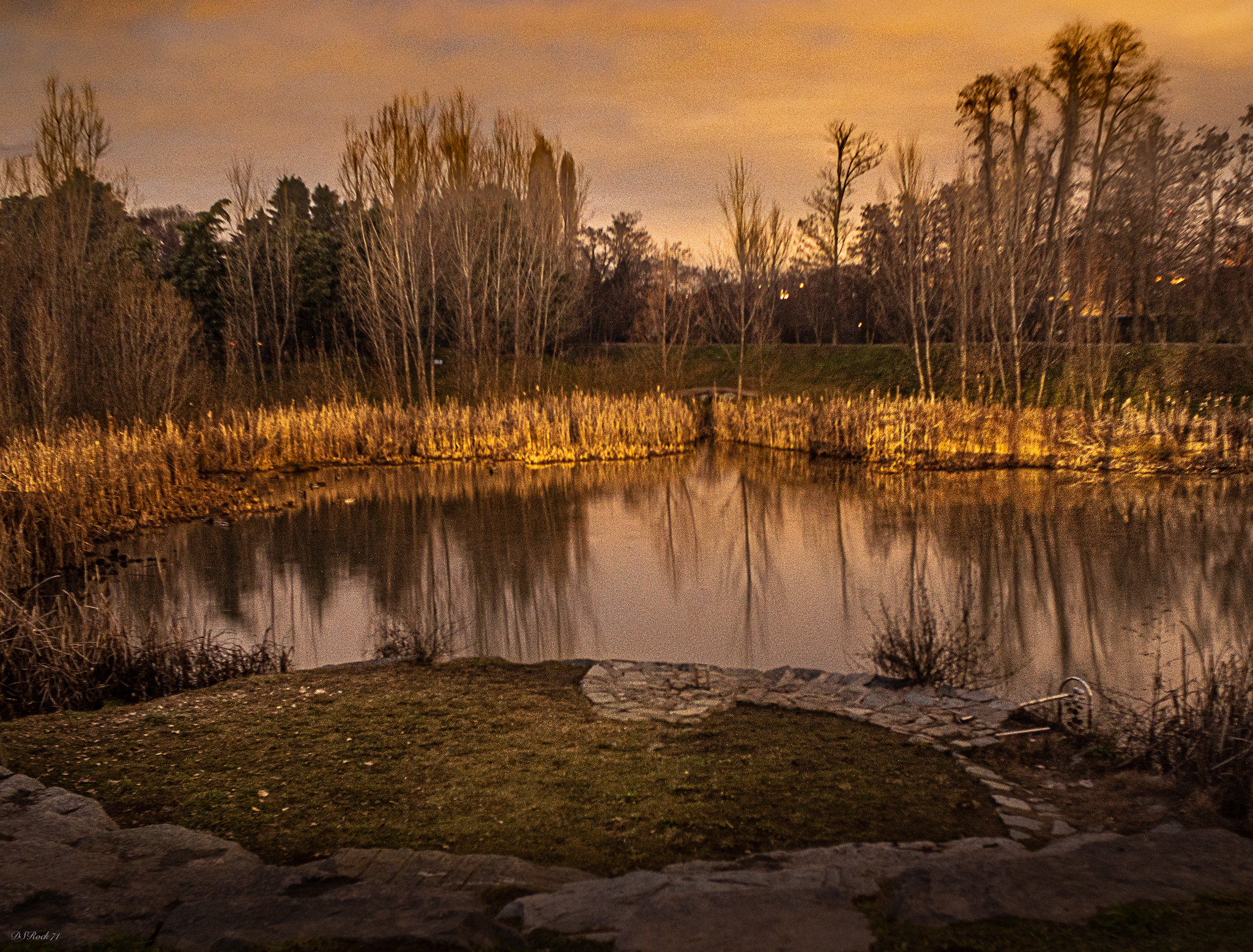 POND ON THE EDGE OF THE CITY (PICTORIAL)