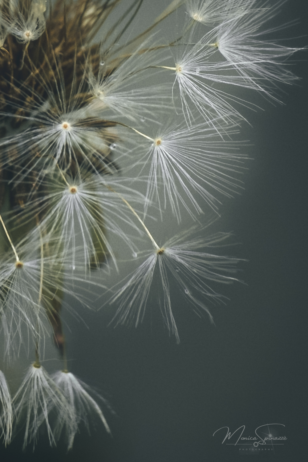 A breath of magic