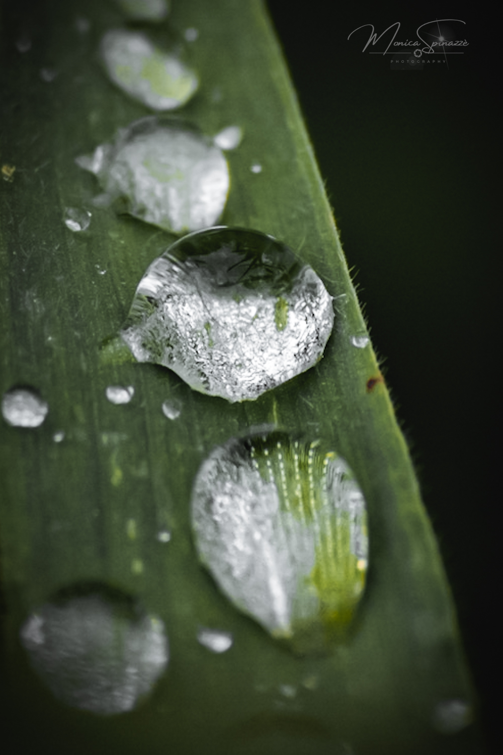 Drops