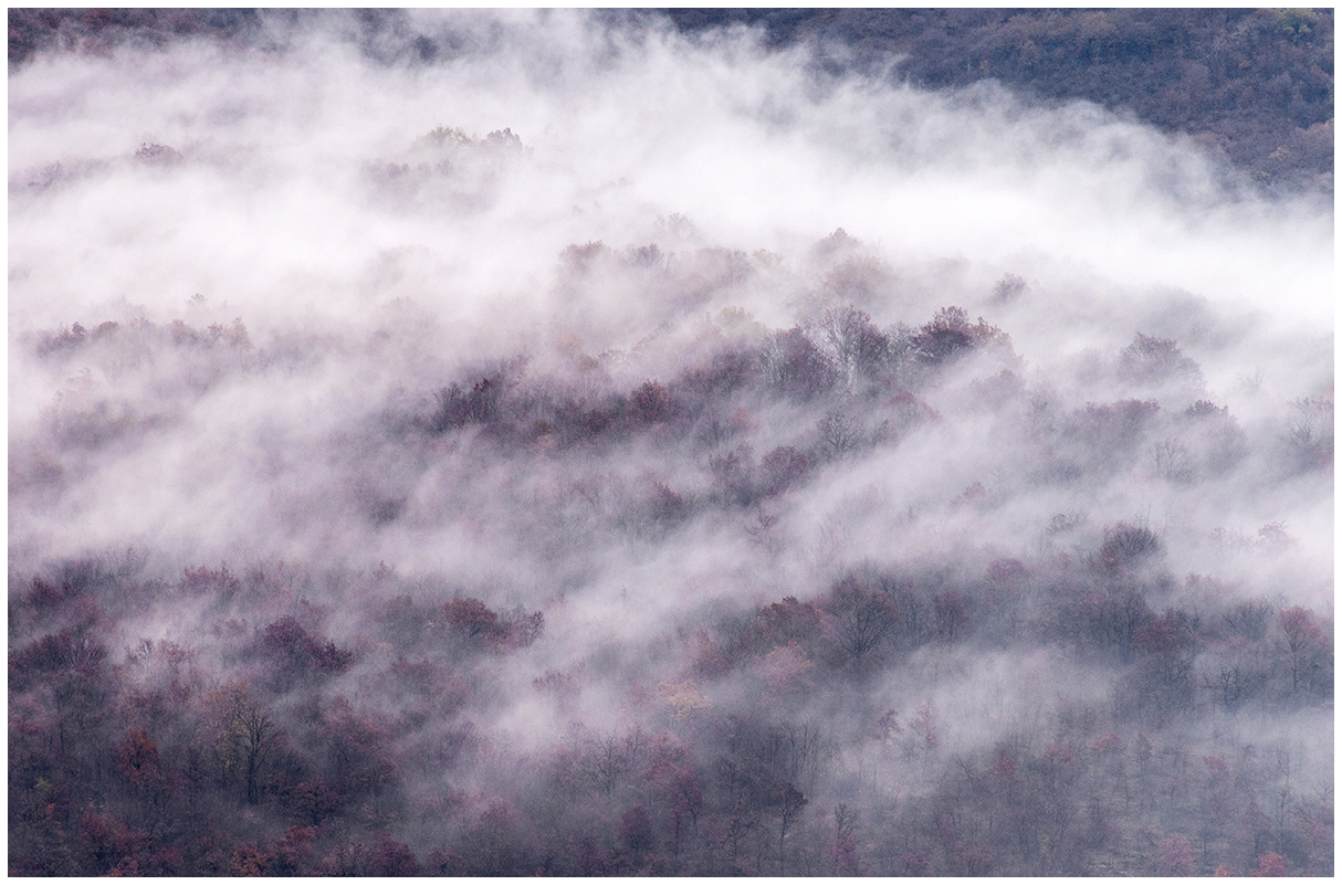 velluto di nebbia