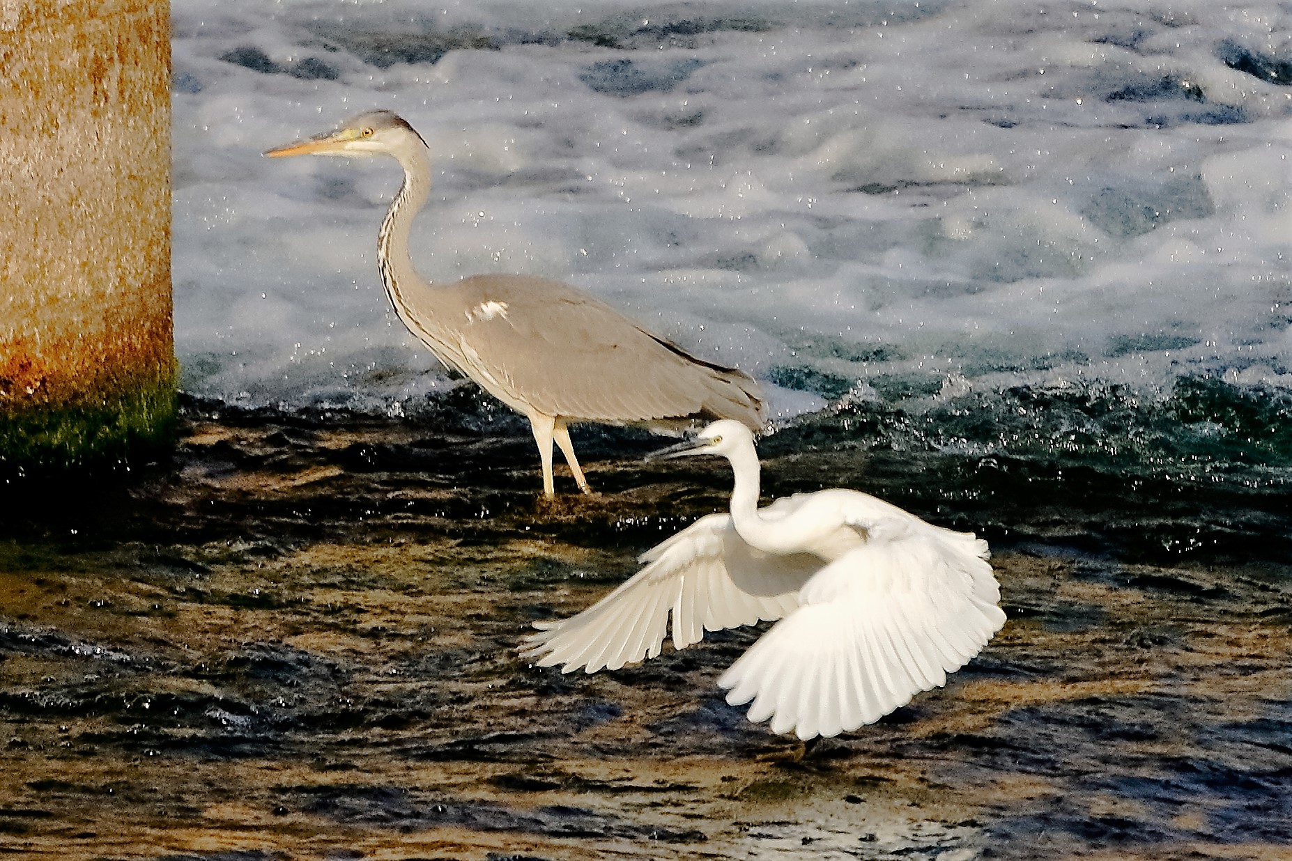 Garz-Cene 19 ottobre 2022