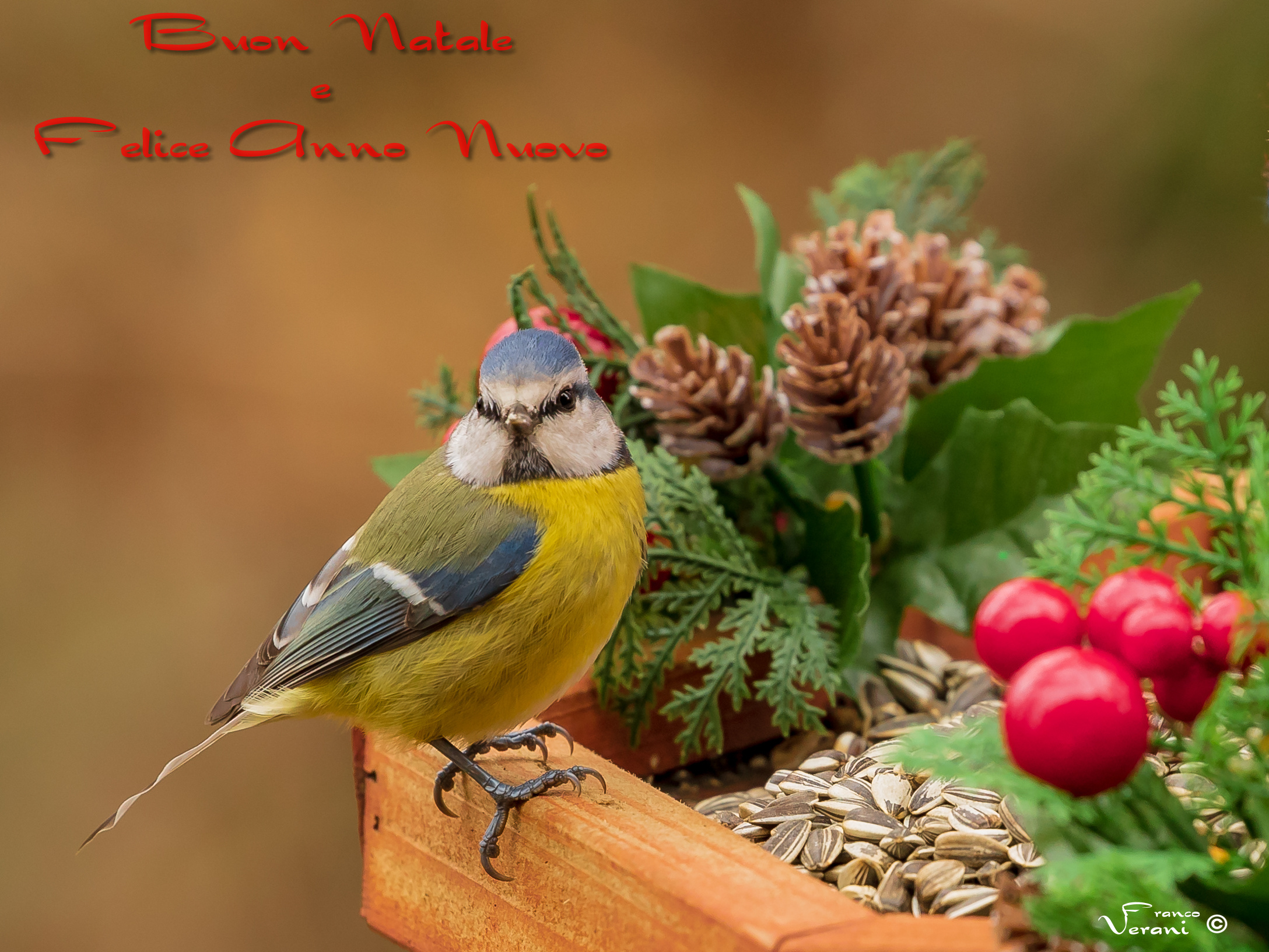 Merry Christmas and Happy New Year to all