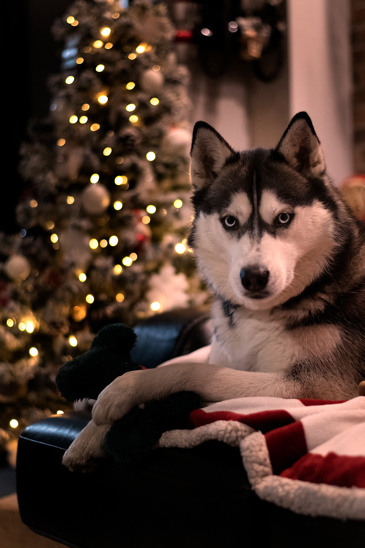 Skye