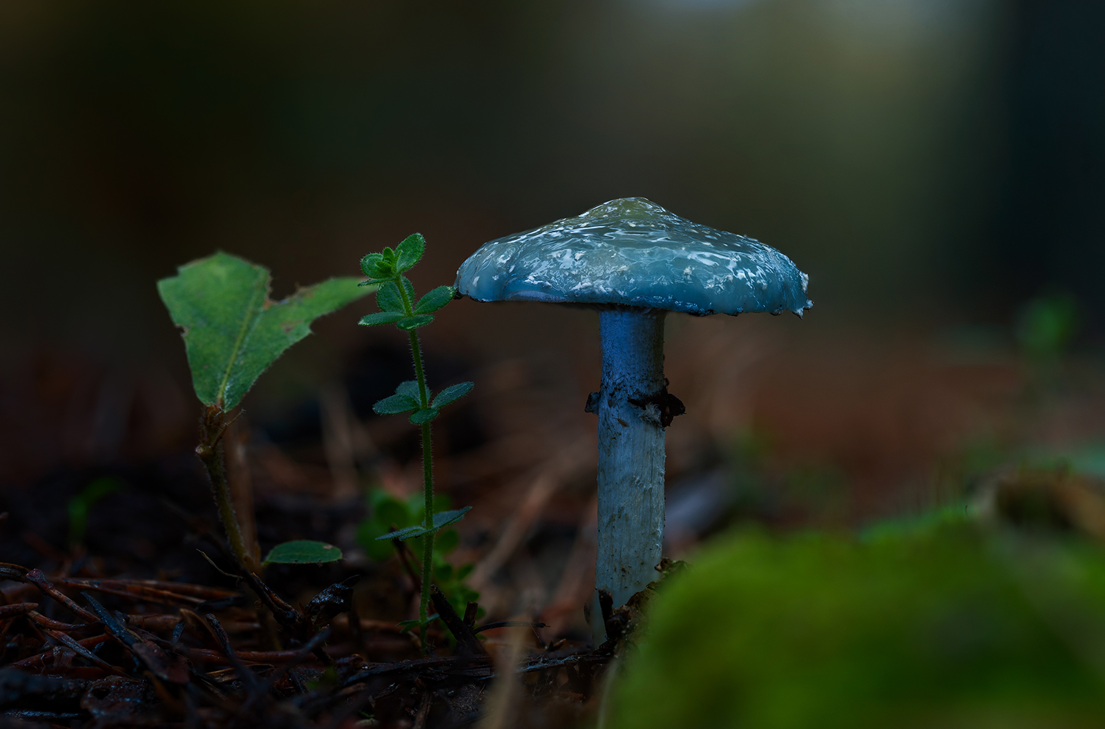 Untitled Photo