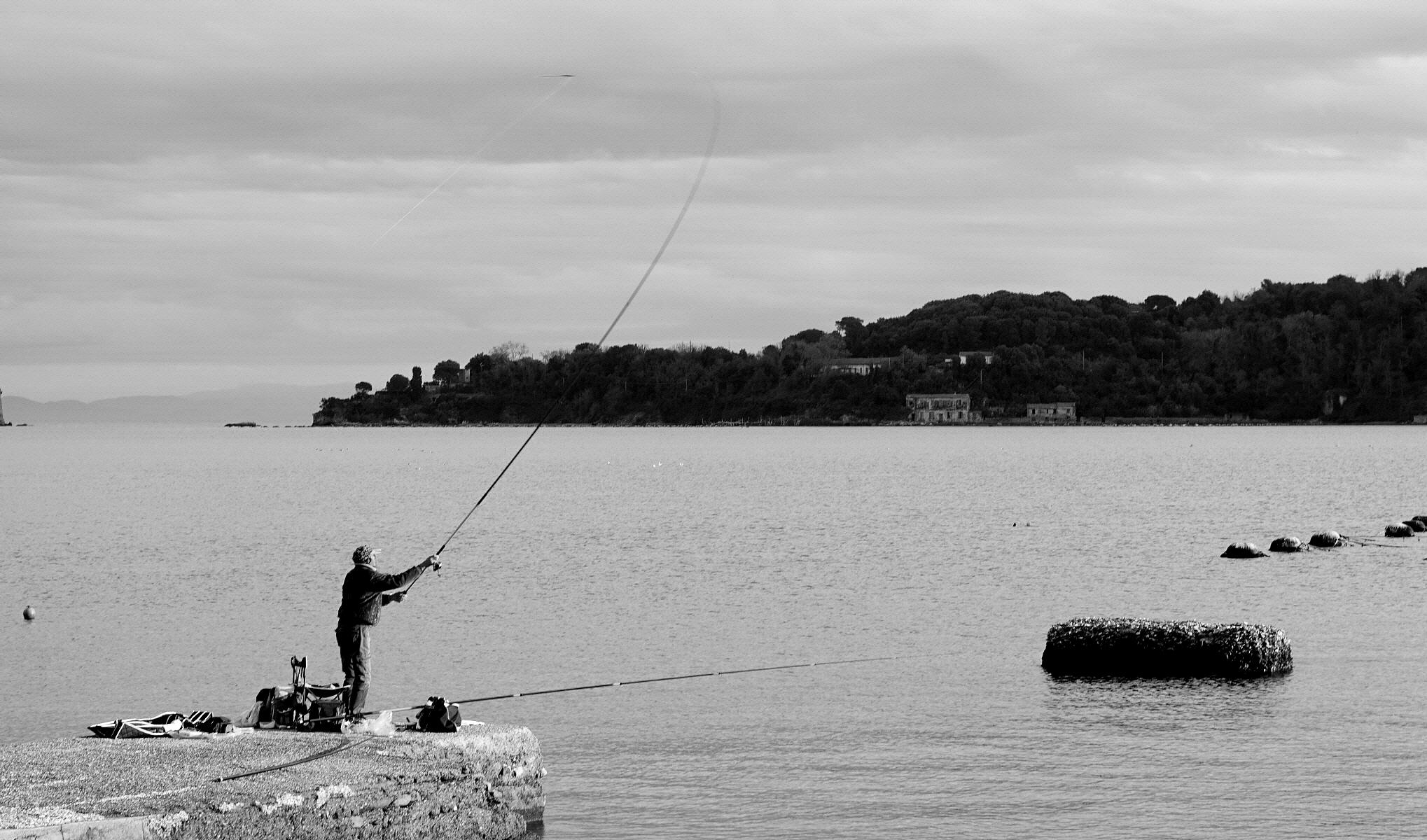 Un lancio all'Olivo!