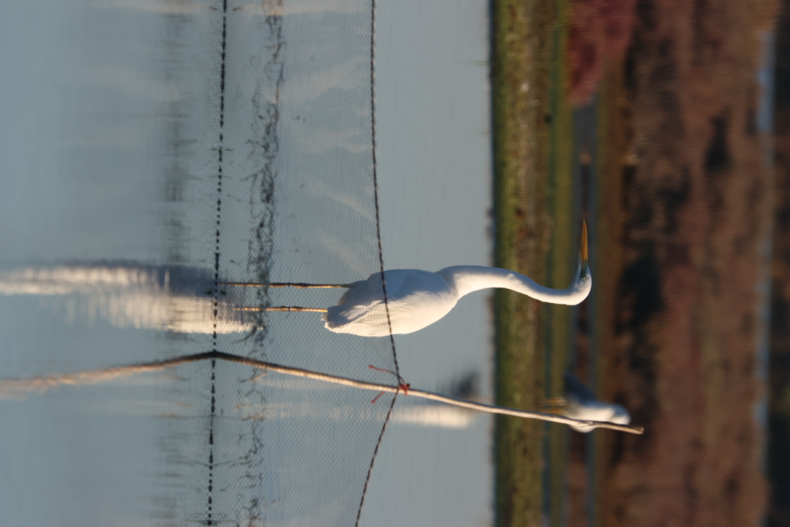 Prove con Canon r7  consigli grazie!