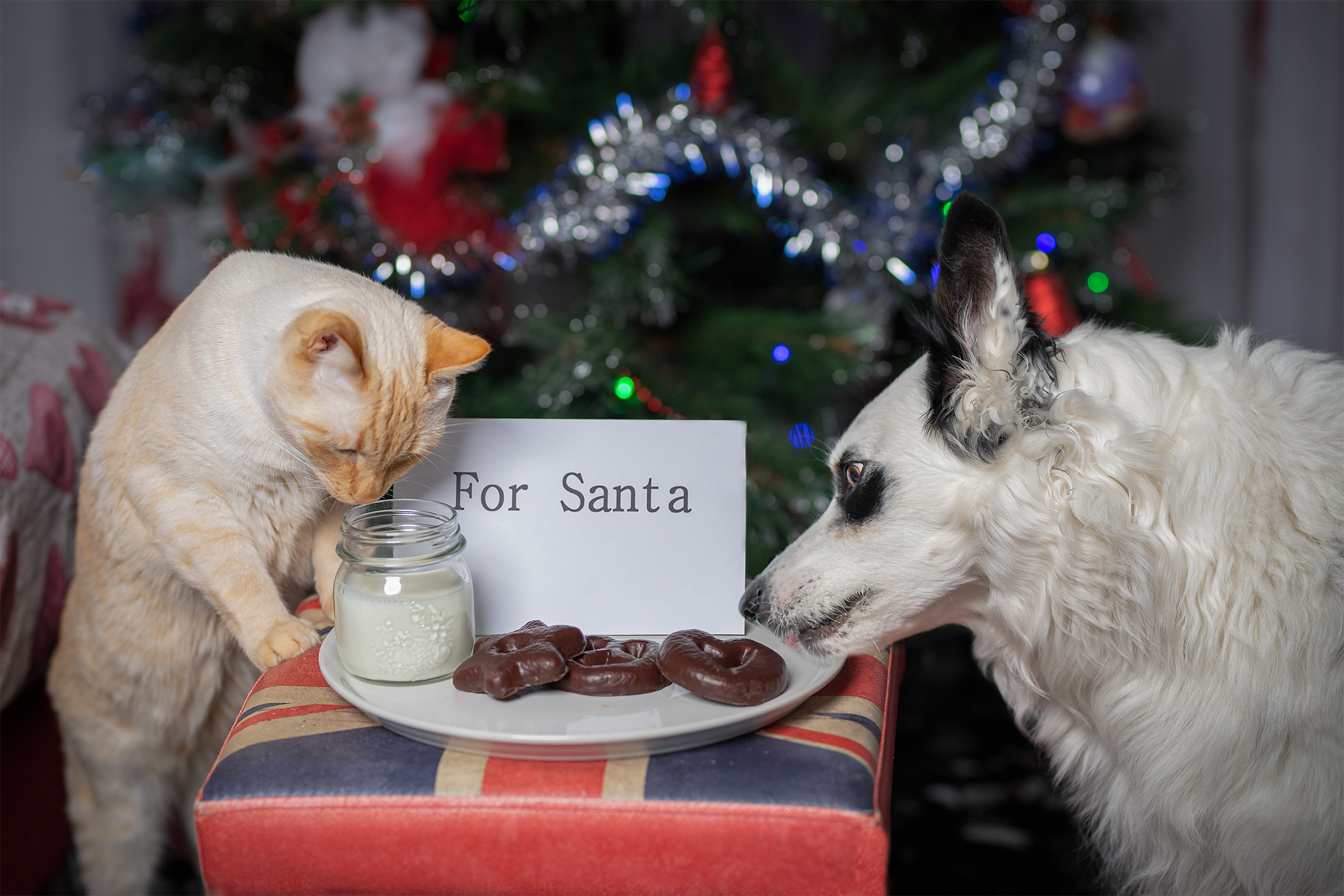 La banda di babbo natale