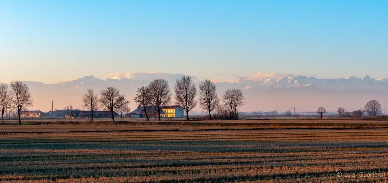 Paesaggio novarese