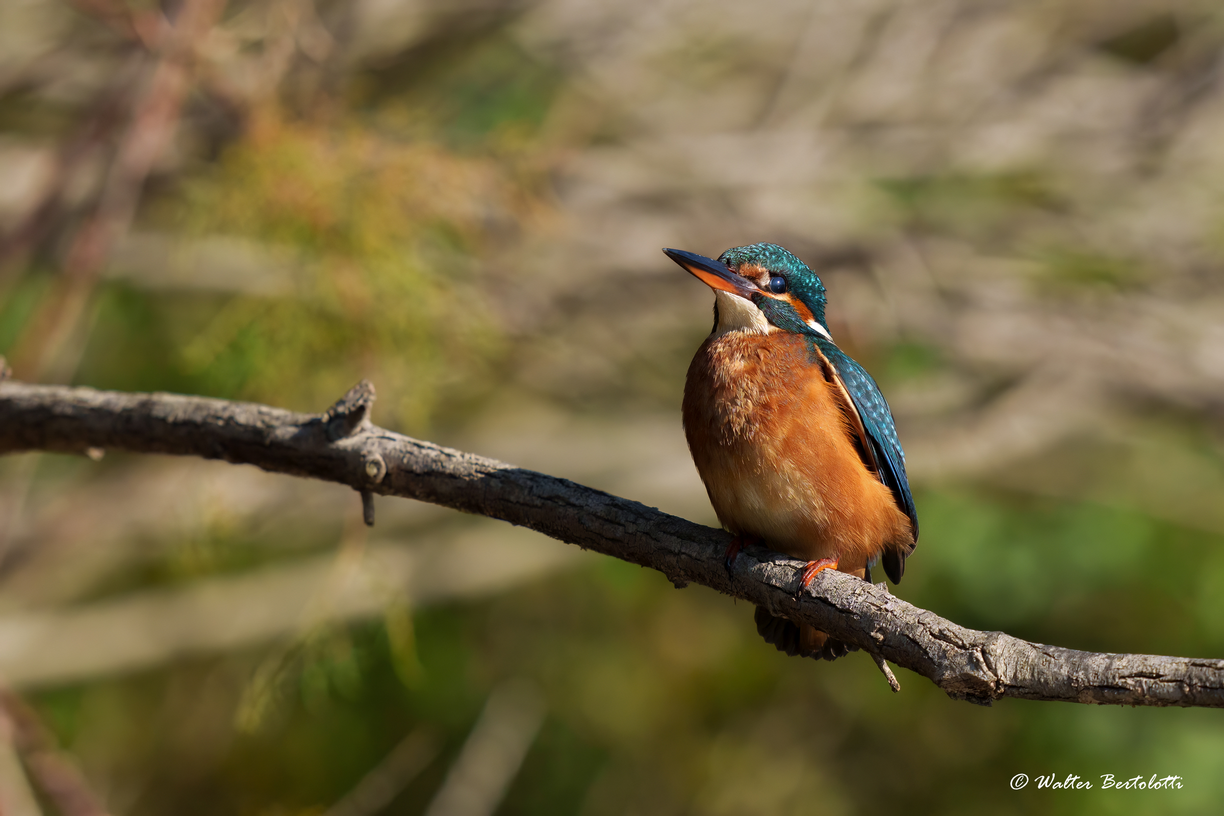 un momento di riposo
