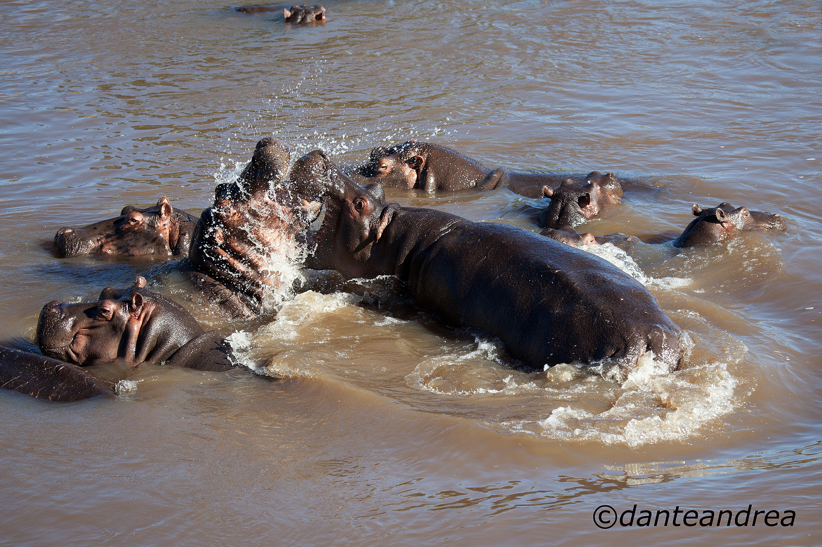 Battaglia tra giganti 1