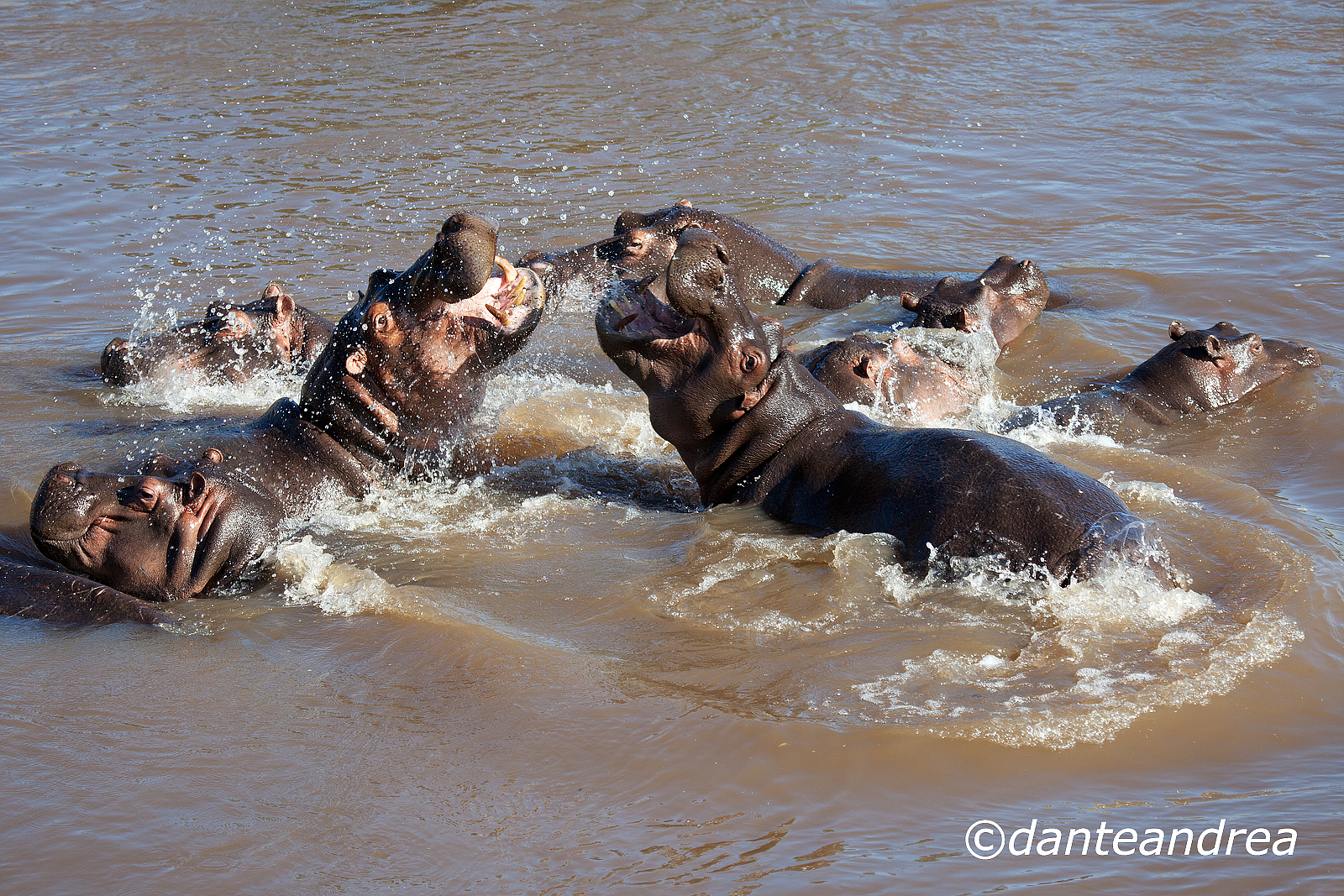 Battaglia tra giganti 2
