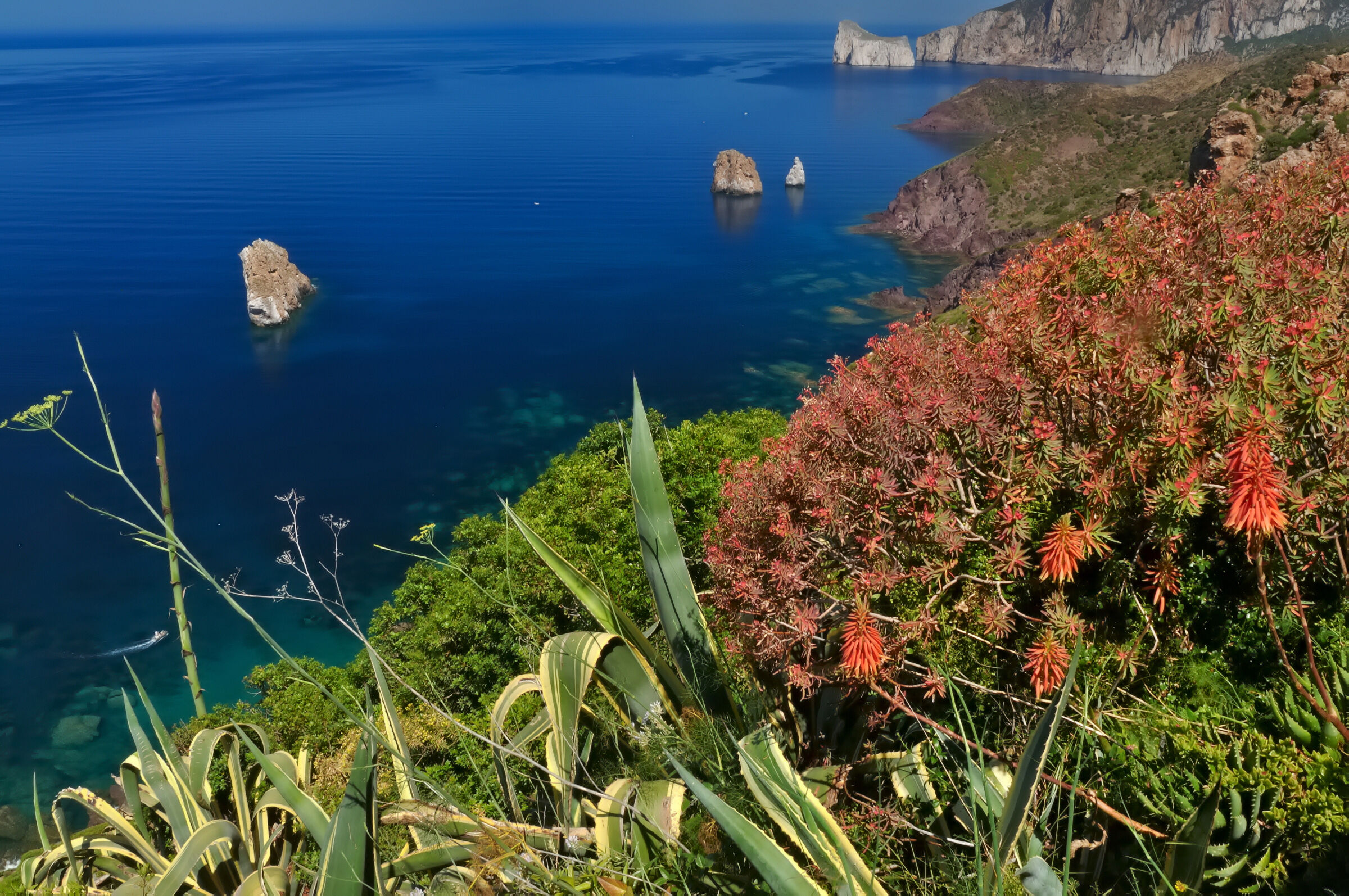 Vista del Pan di Zucchero da Nebida - Iglesias