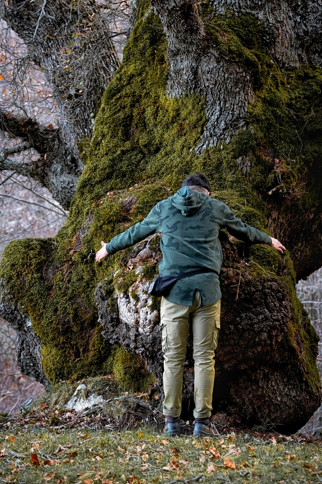 Embracing trees is good for the soul and the heart