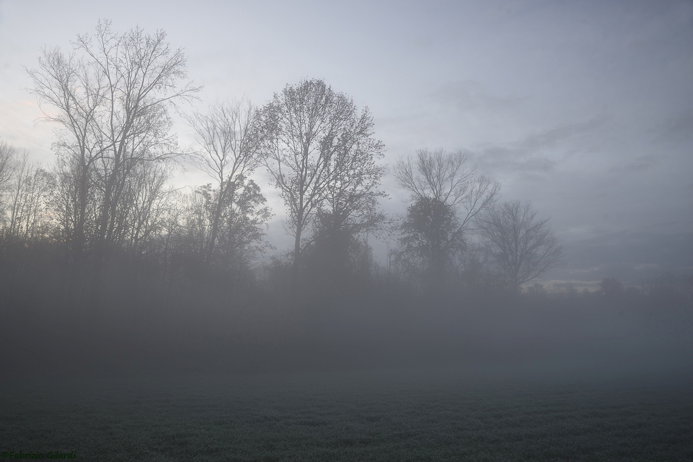 ... foggy sunrise...