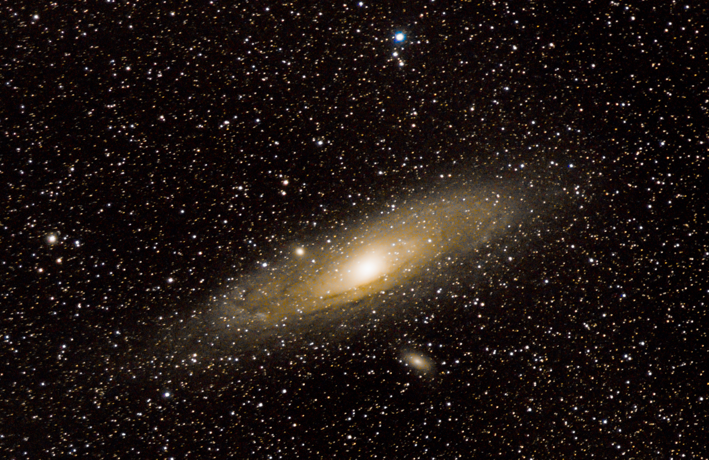 Prima prova di Andromeda