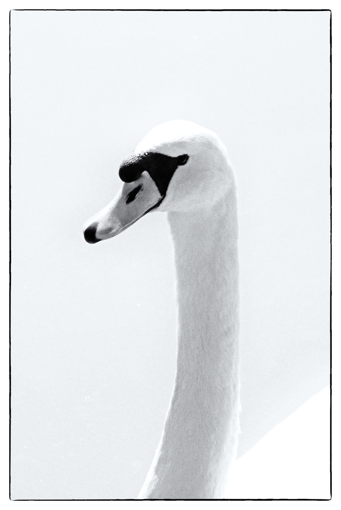 SWAN 1