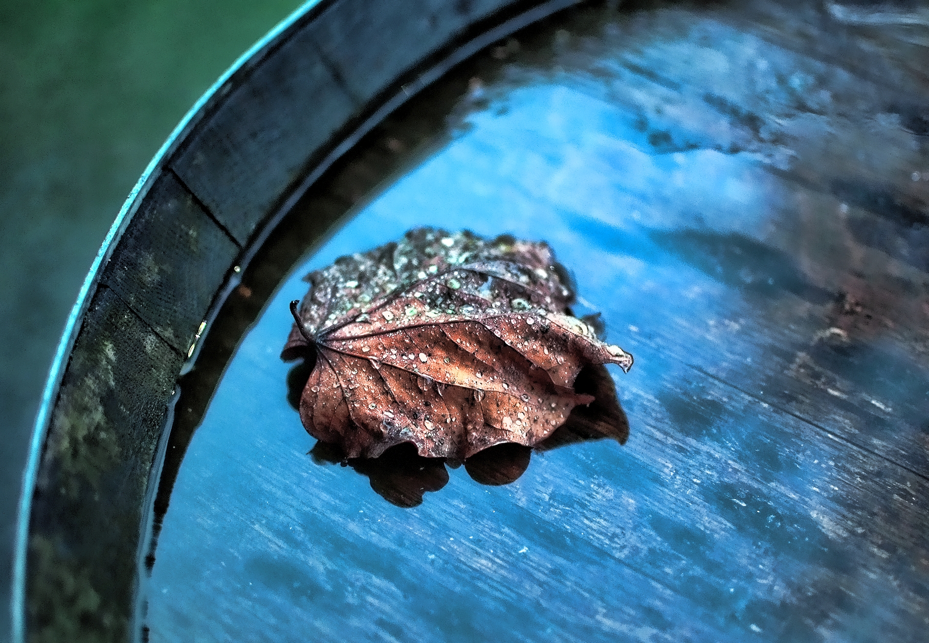Barrel
