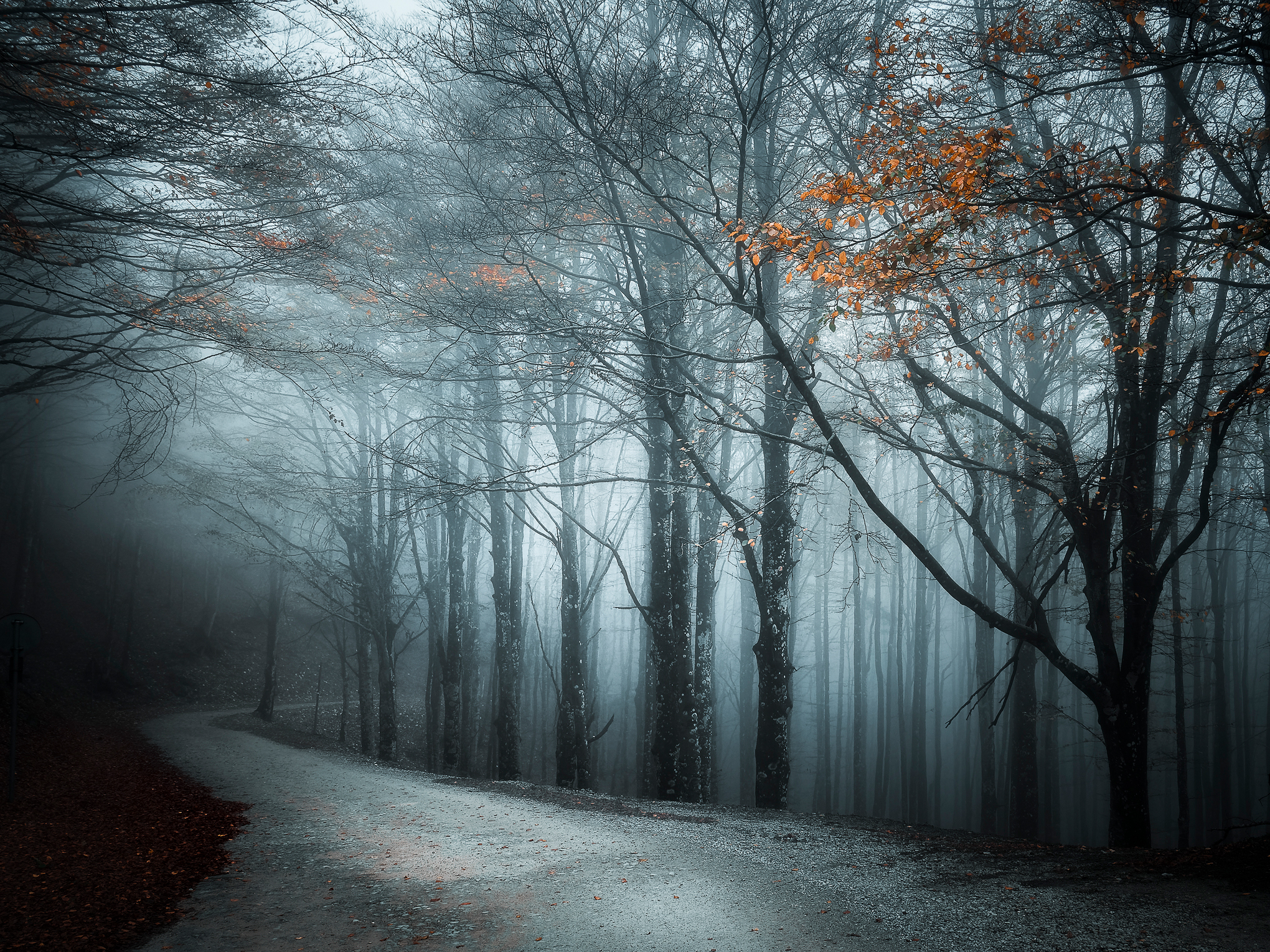 Fog