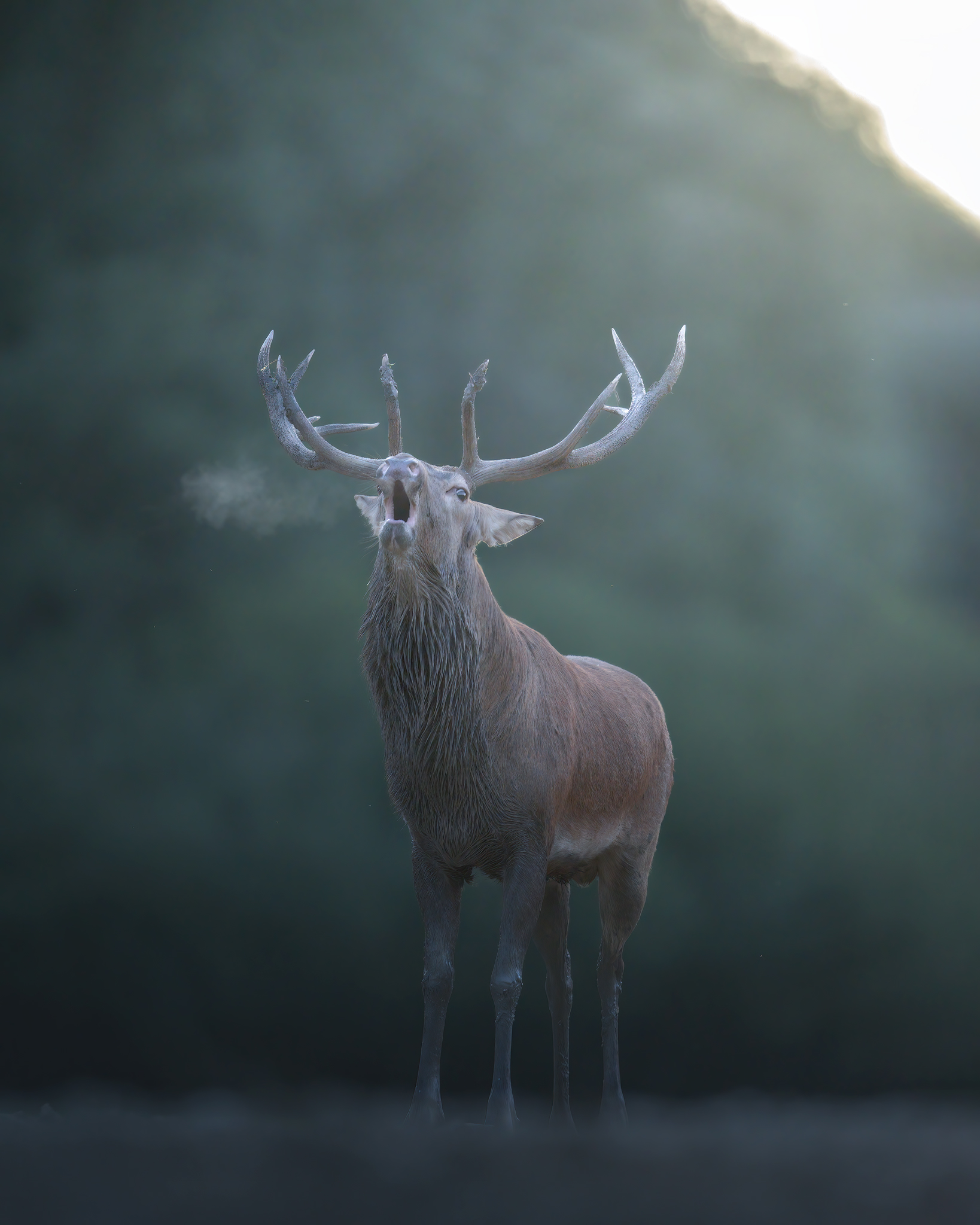 Buon anno a tutti ragazzi!