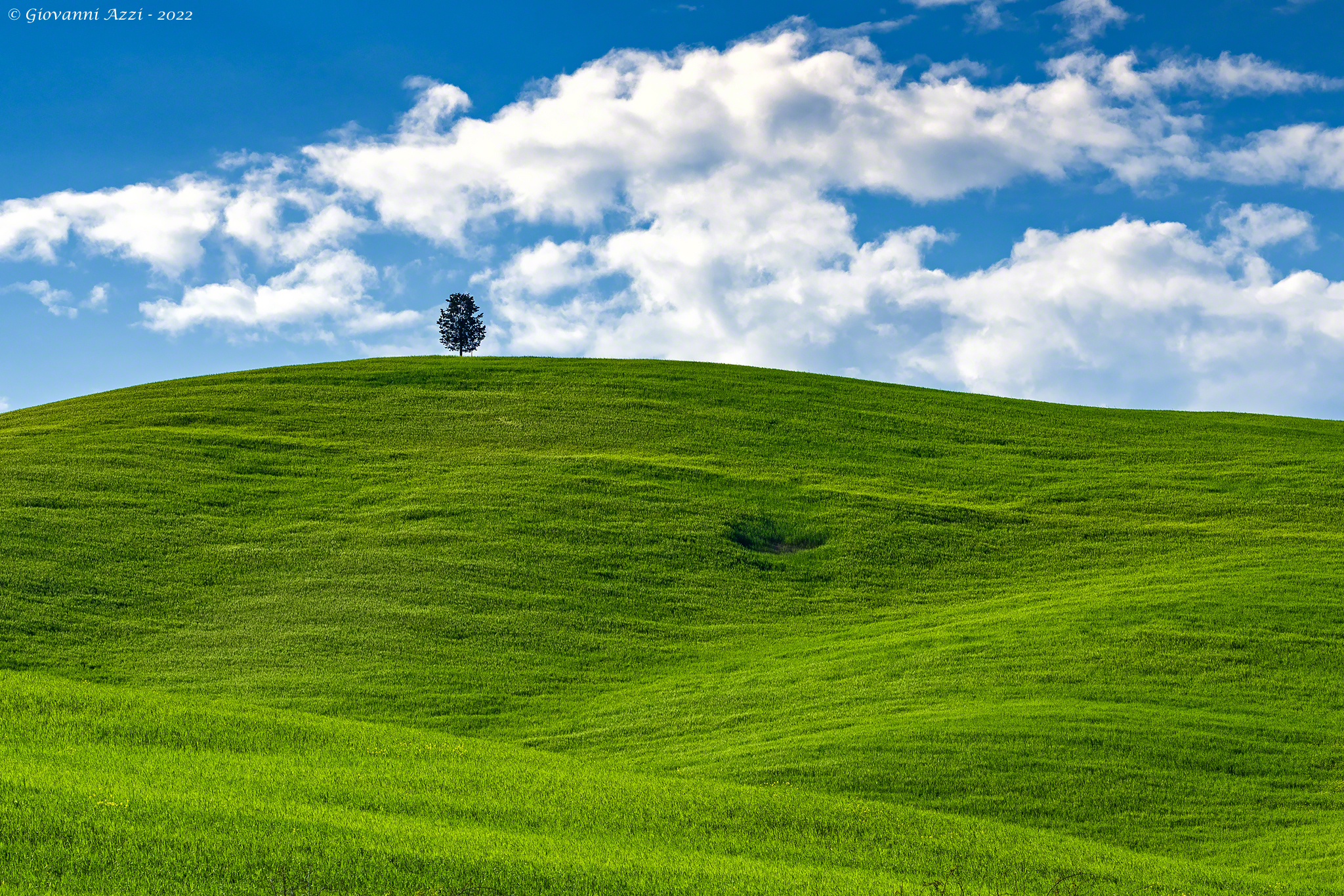Solo sulla collina
