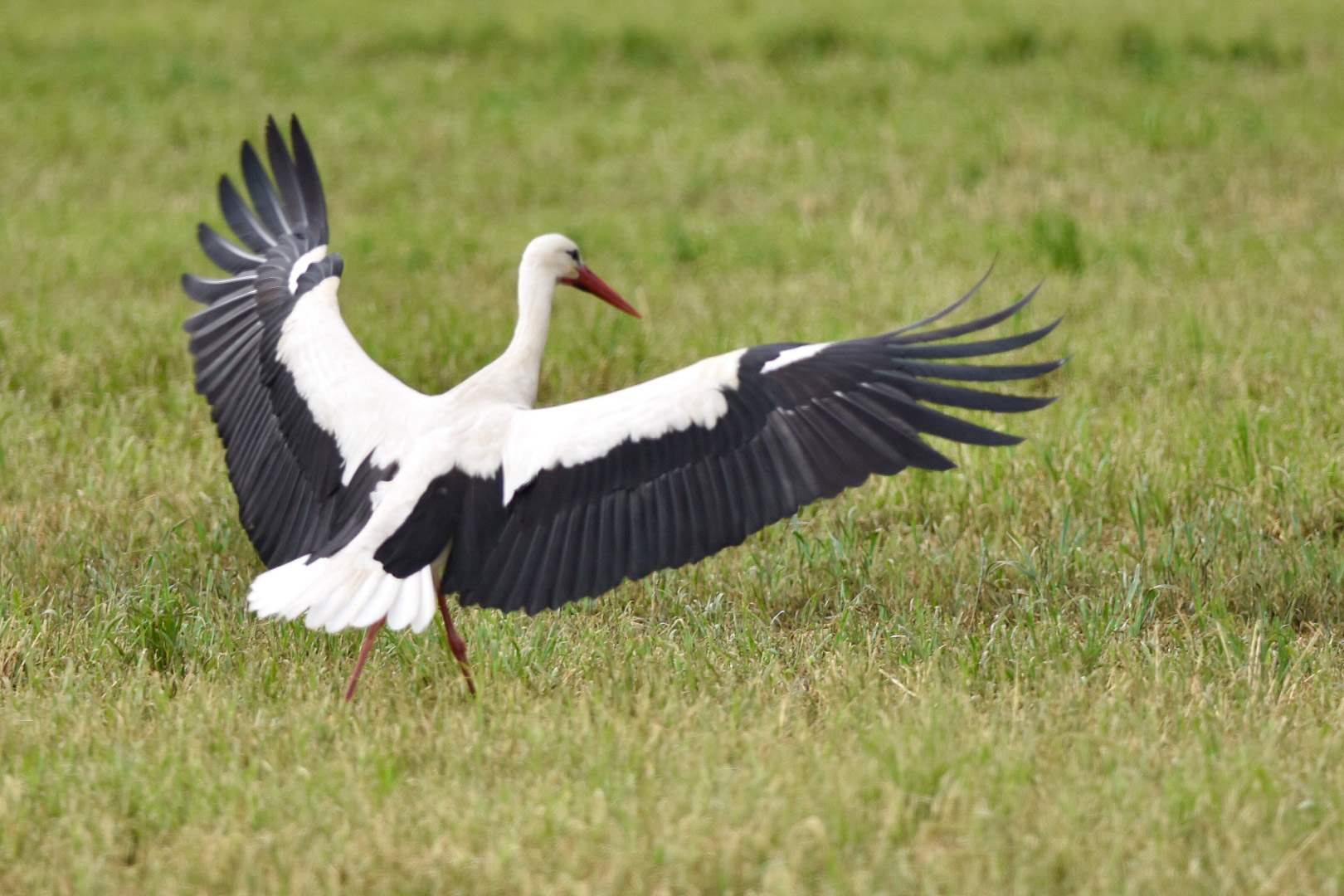 Mi appoggio un'attimo