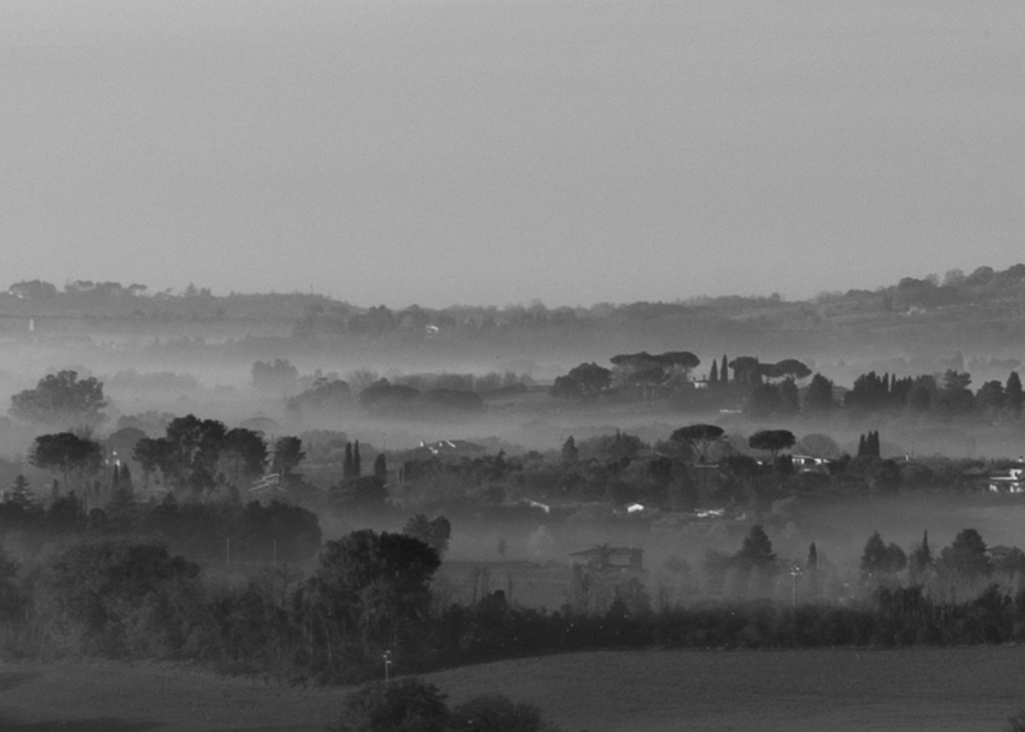 La gradita nebbia di Capodanno
