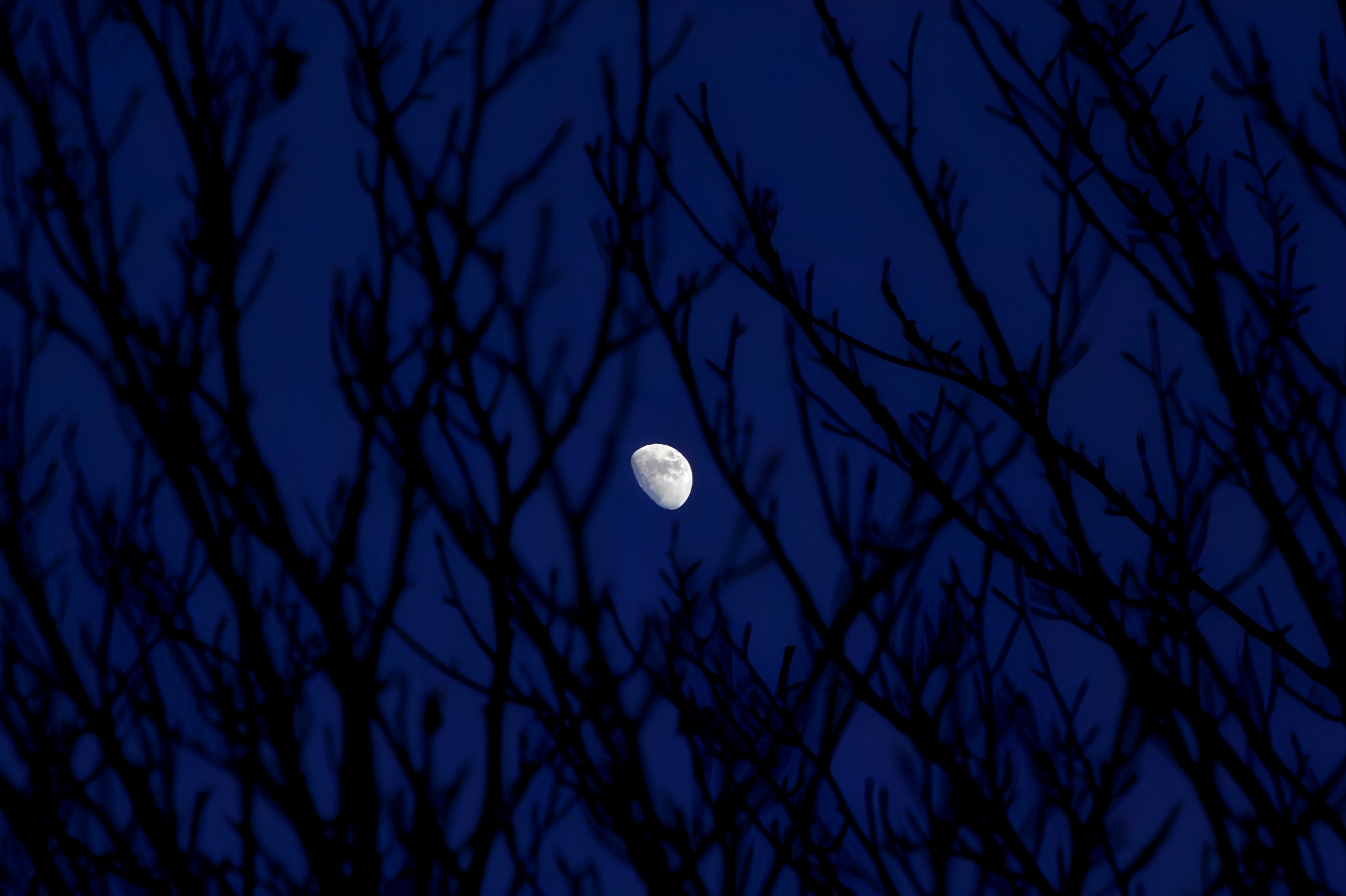 Prima luna dell'anno