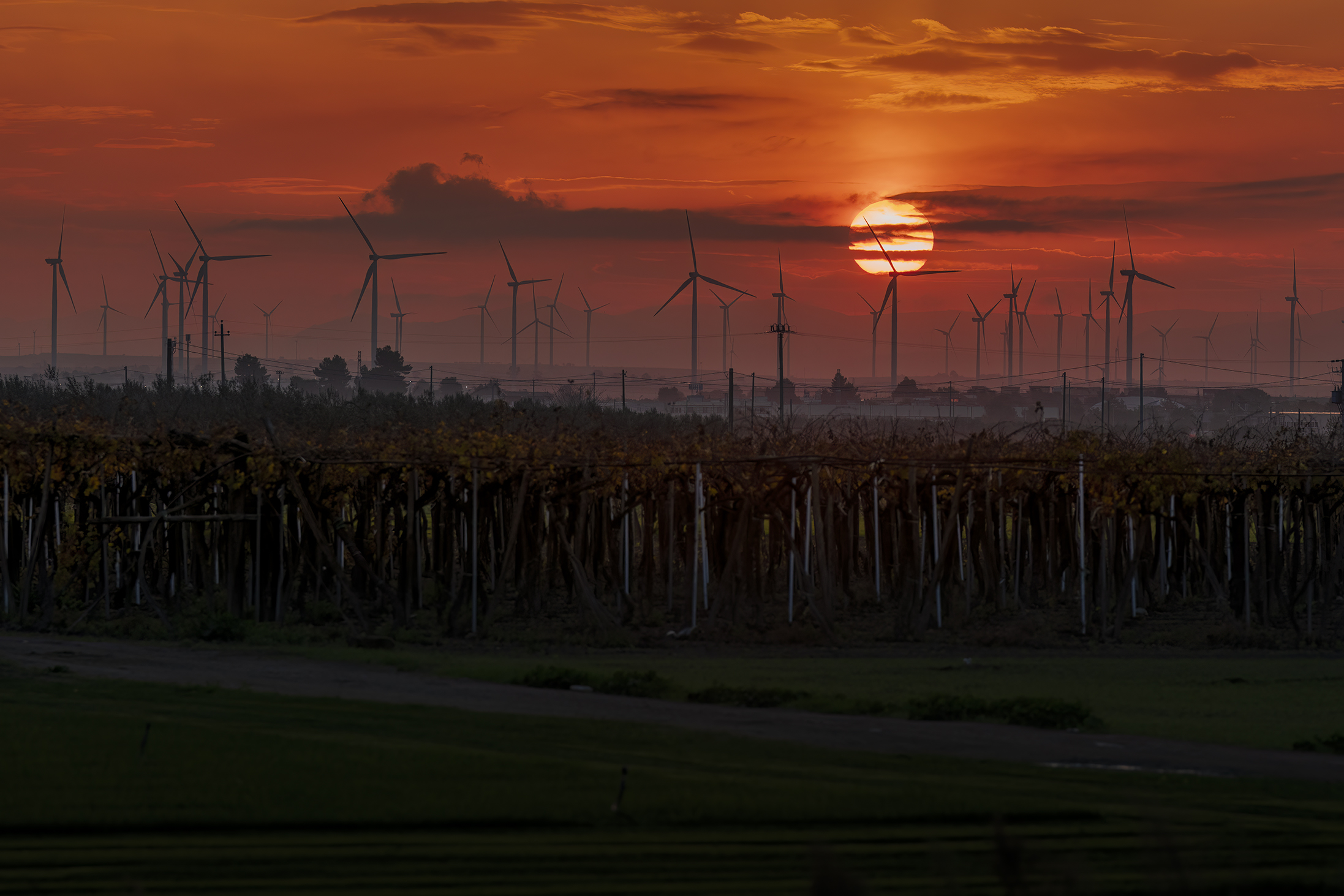 Contraddizioni tra natura e tecnologia