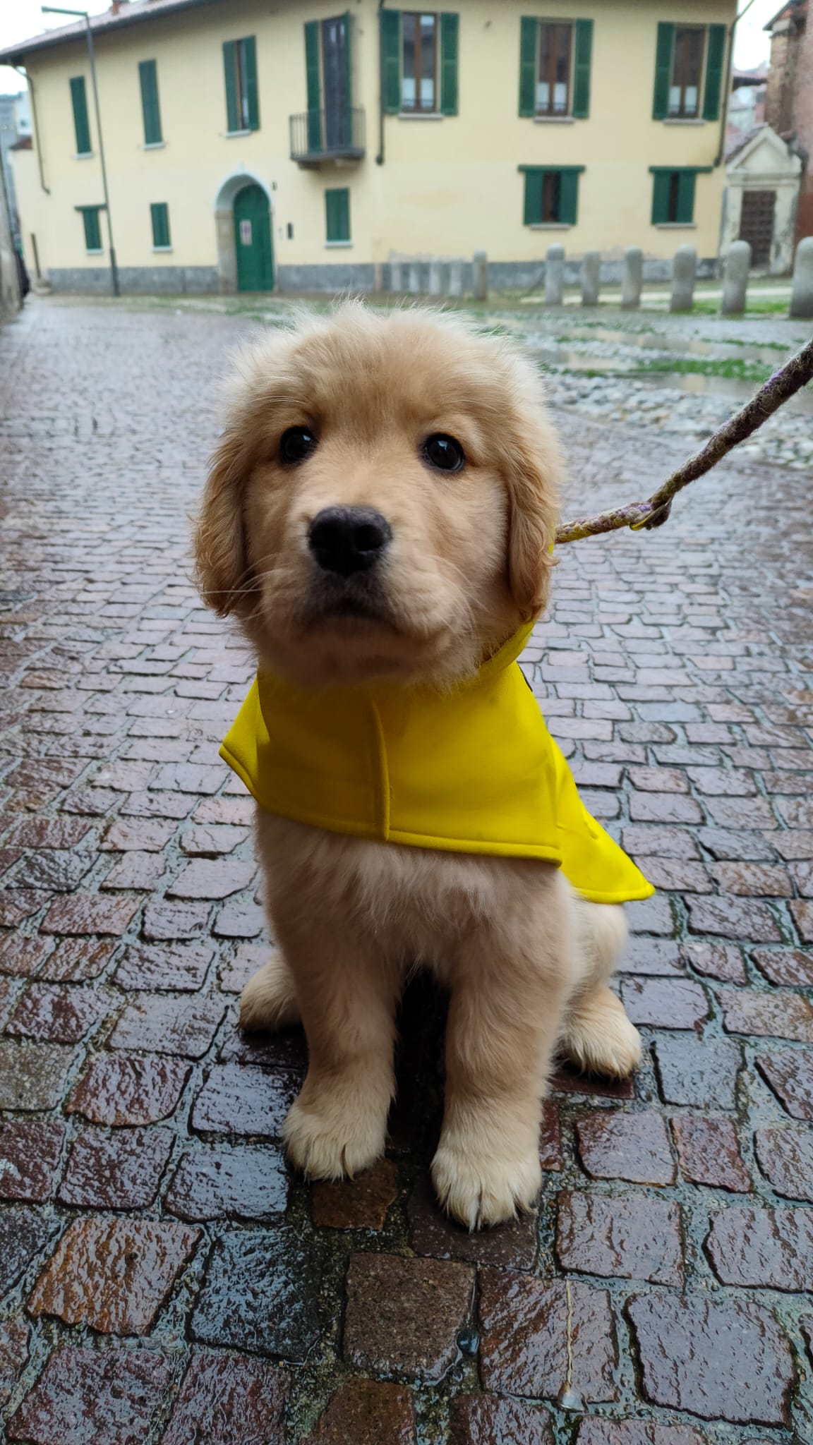 Discovering the rain