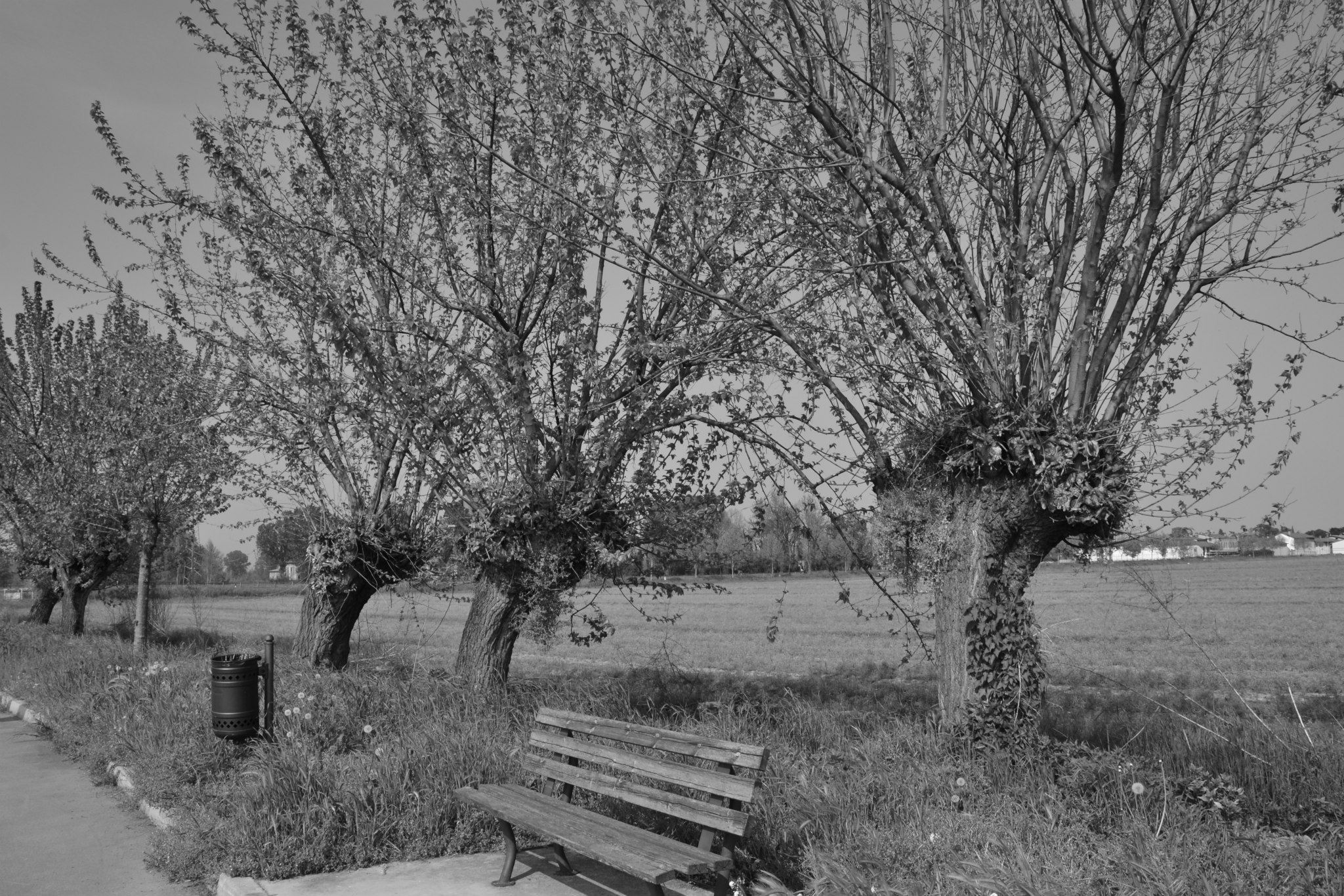 the bike path of my village