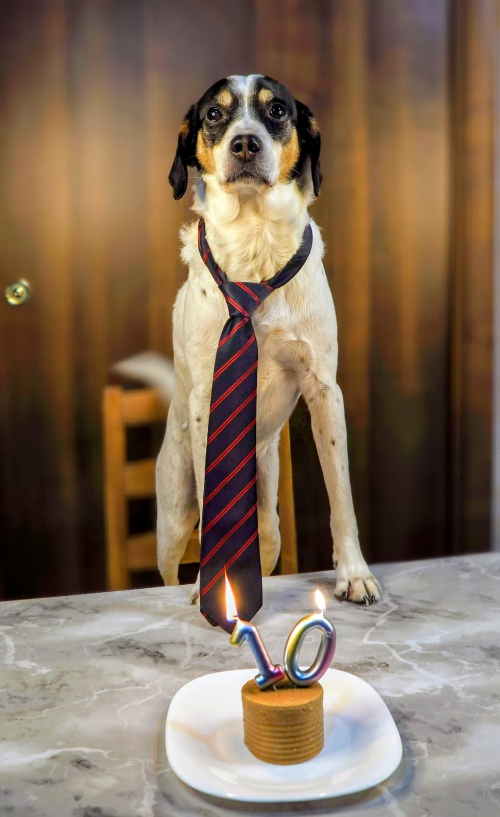 Tommy, 10 anni pelosi... bauguri!