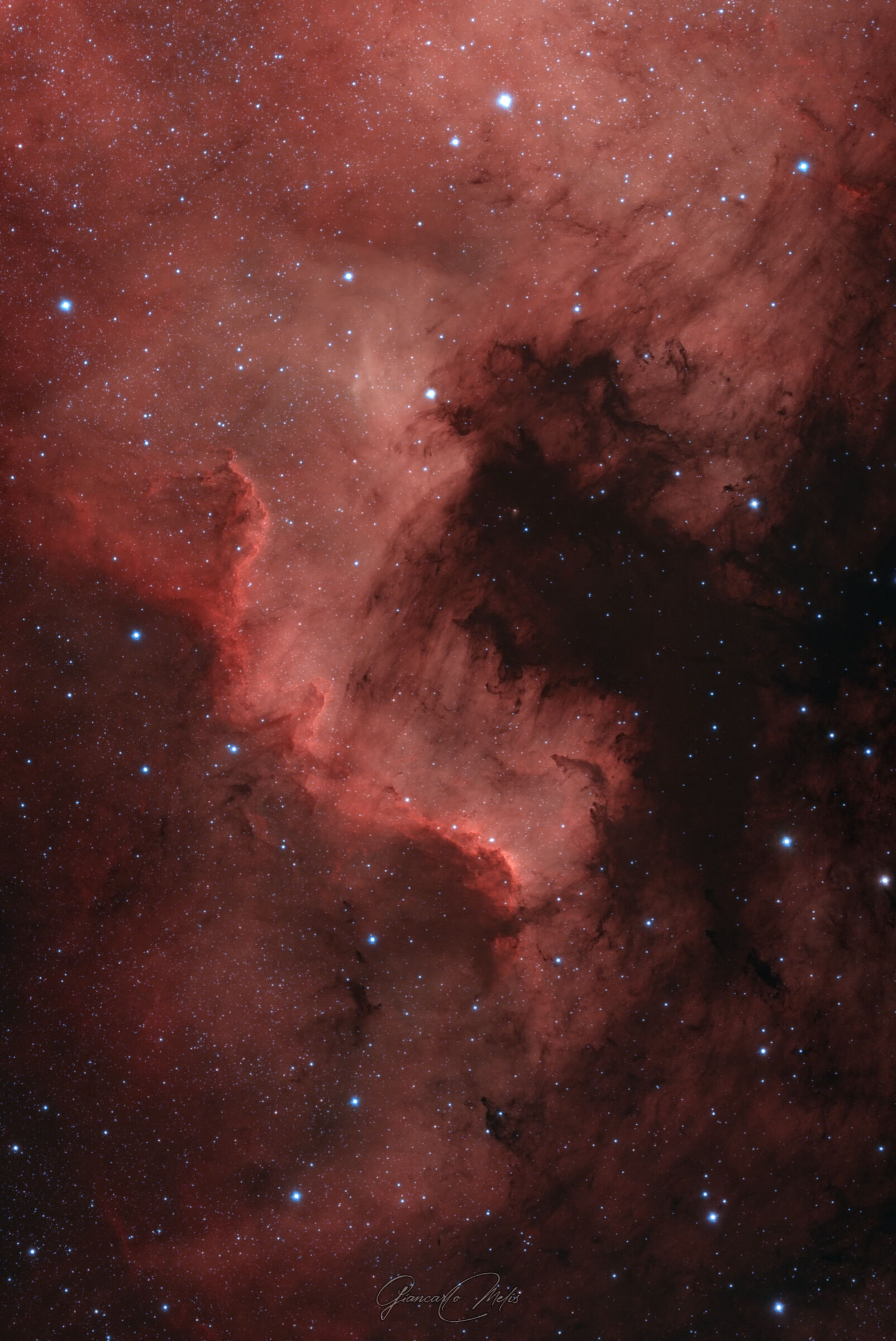 NGC 7000
