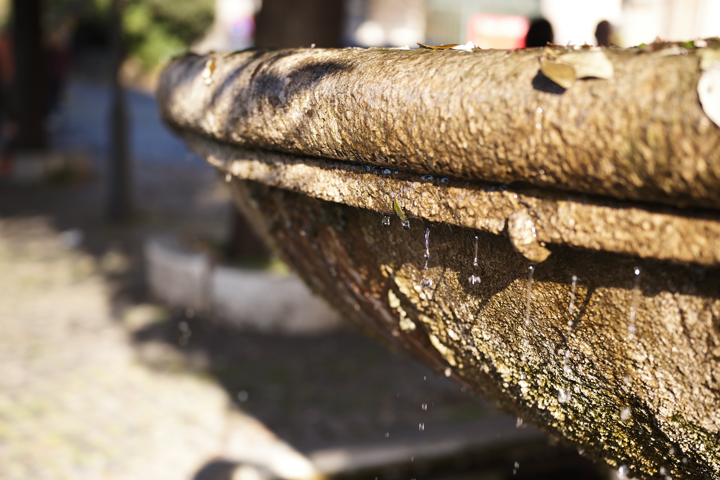 Particular drops and fountain