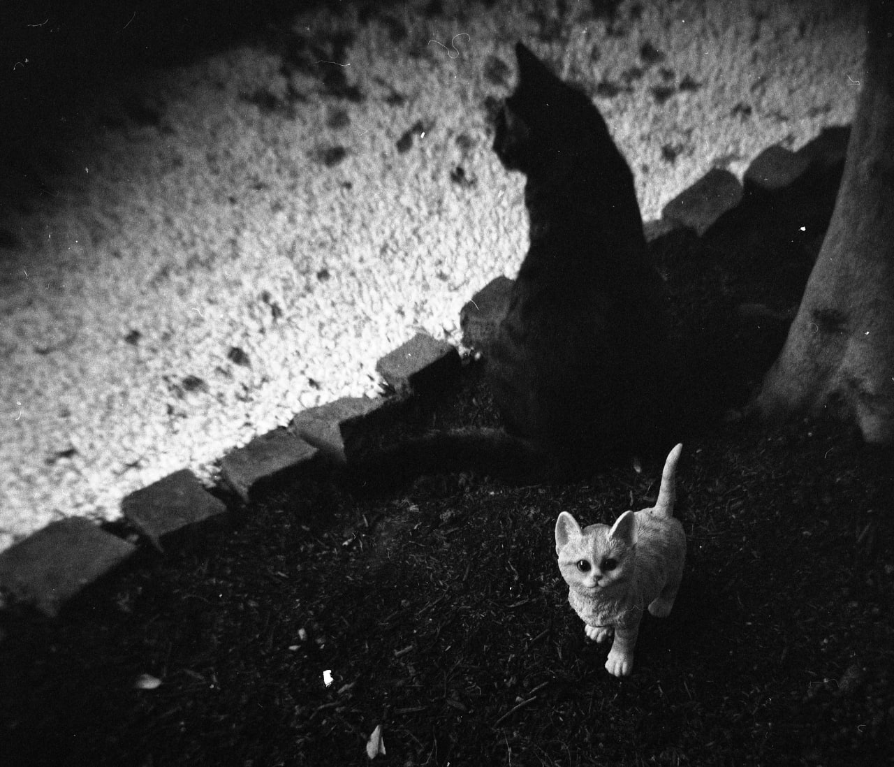 Holga120N - Think big ..