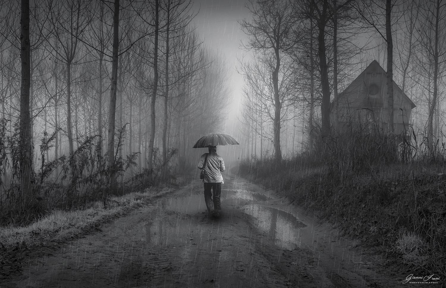 Path in the rain