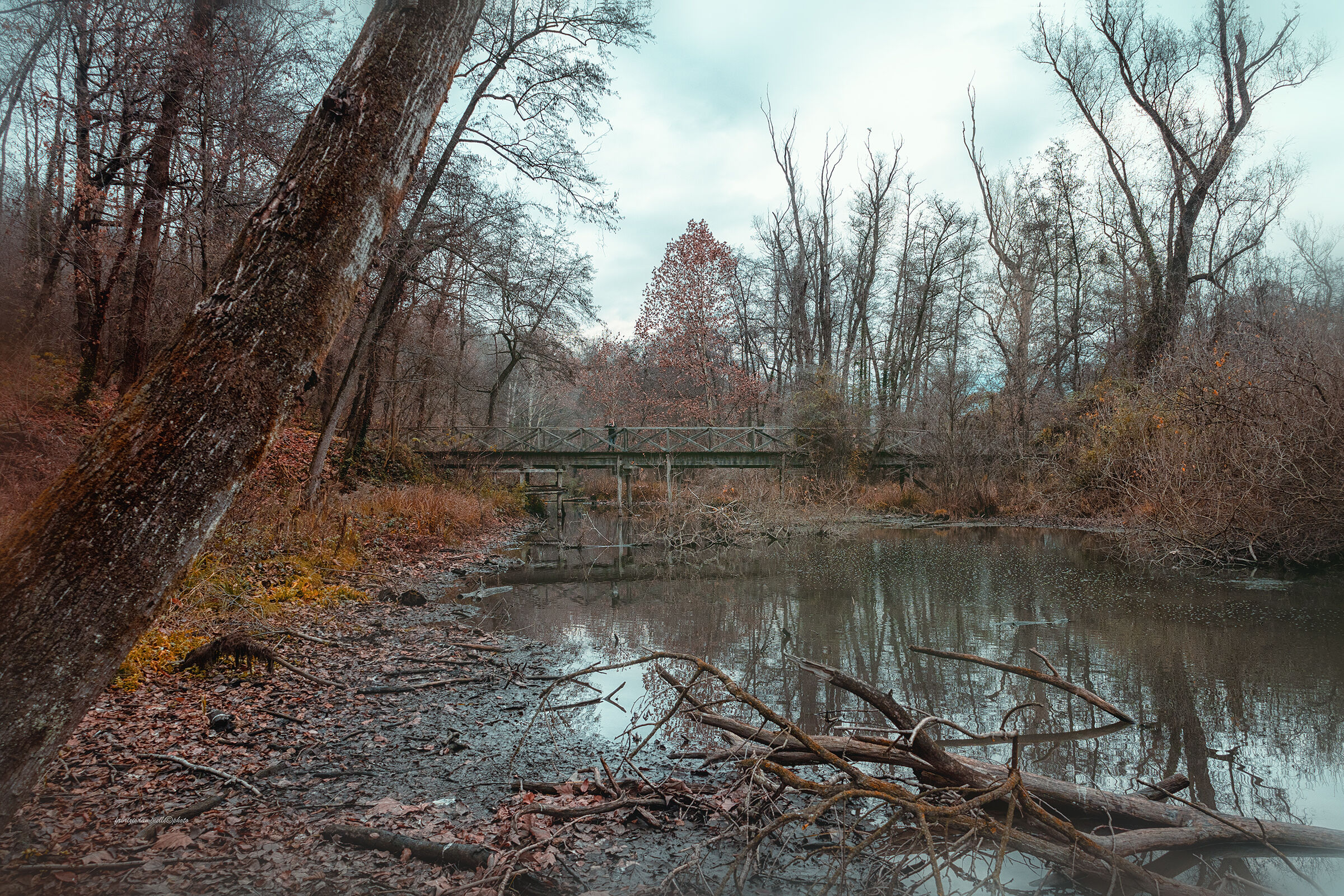 il ponticello nel bosco