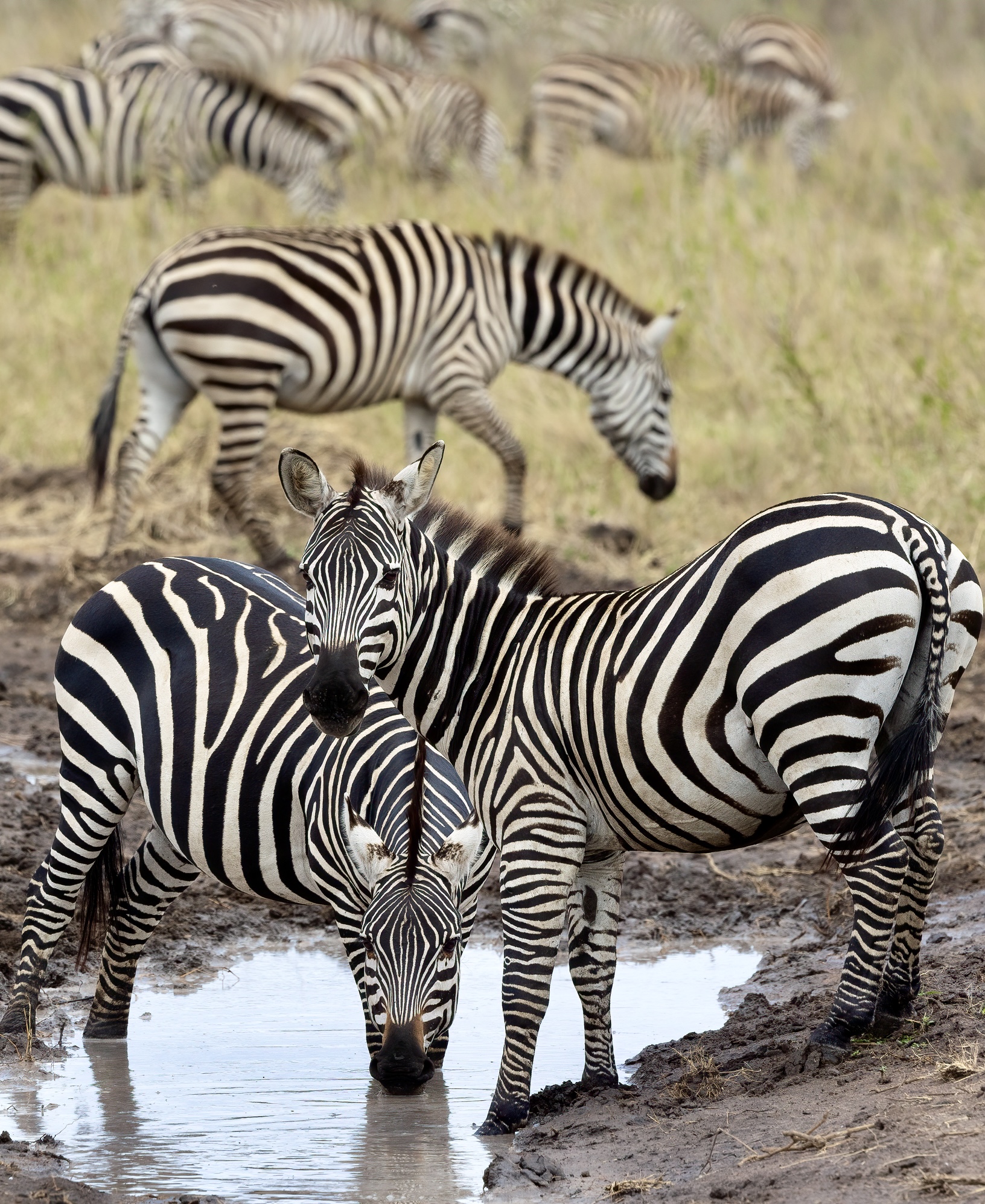 Pyjama party. African style...