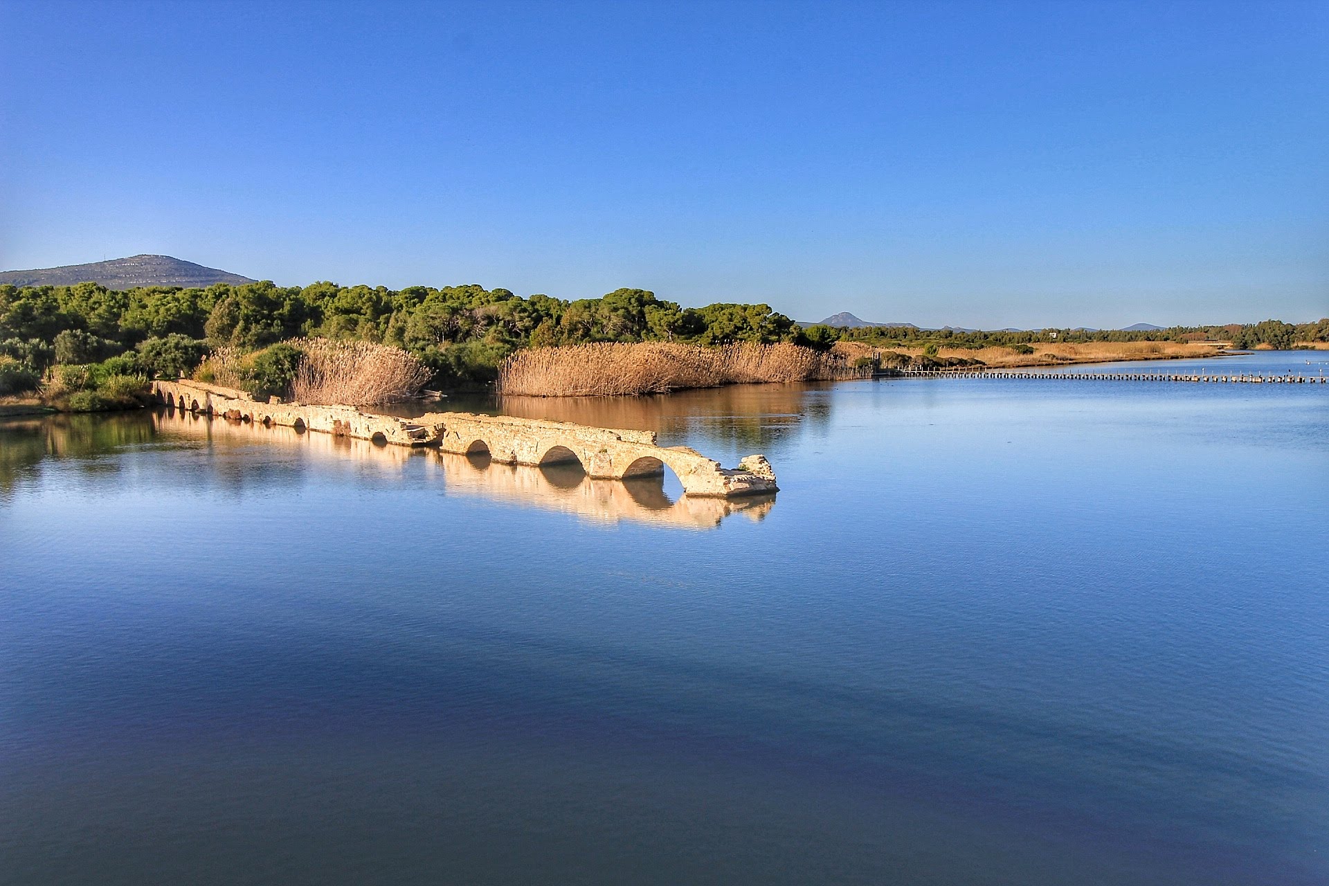 A bridge in the middle