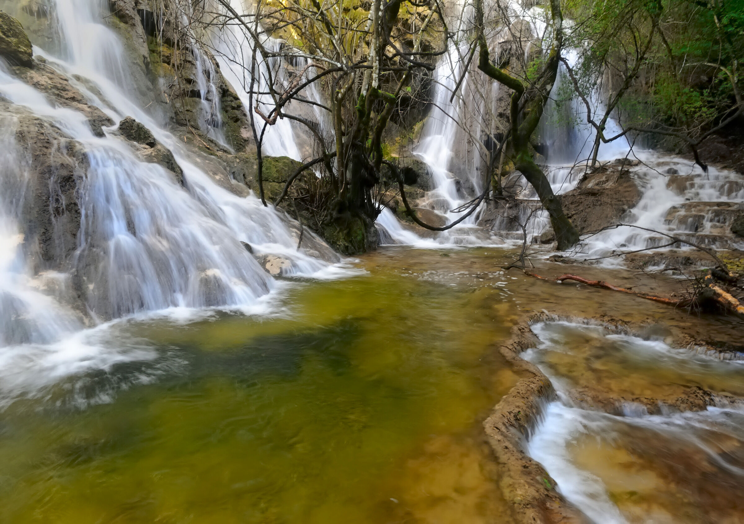 Quando la natura dà spettacolo ...