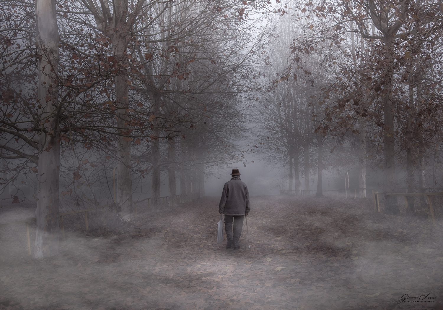 The path of an old man