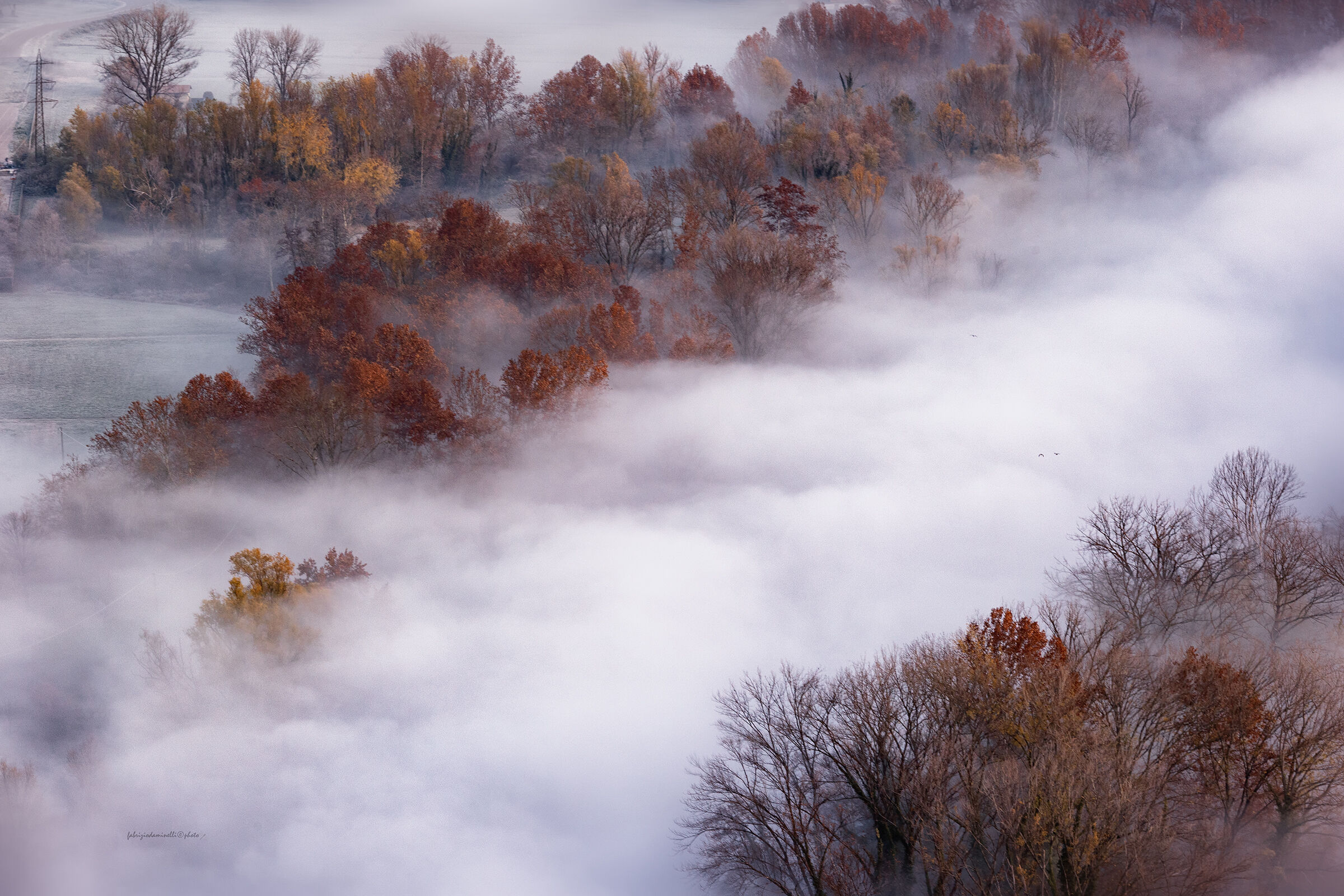 magical fog
