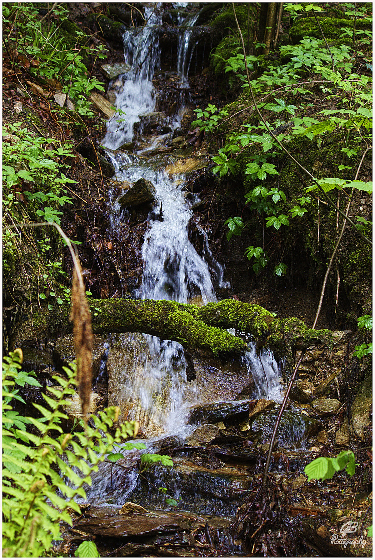 Ruscello dopo la pioggia